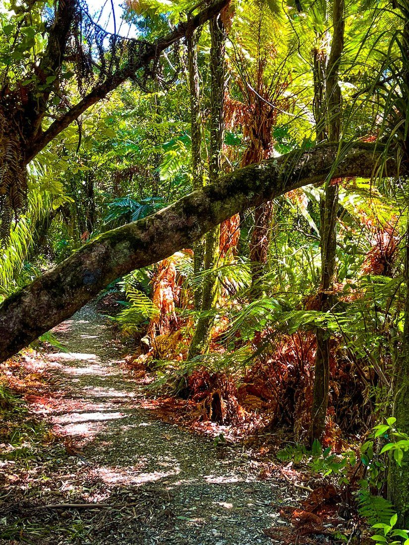 Image 7 of 10