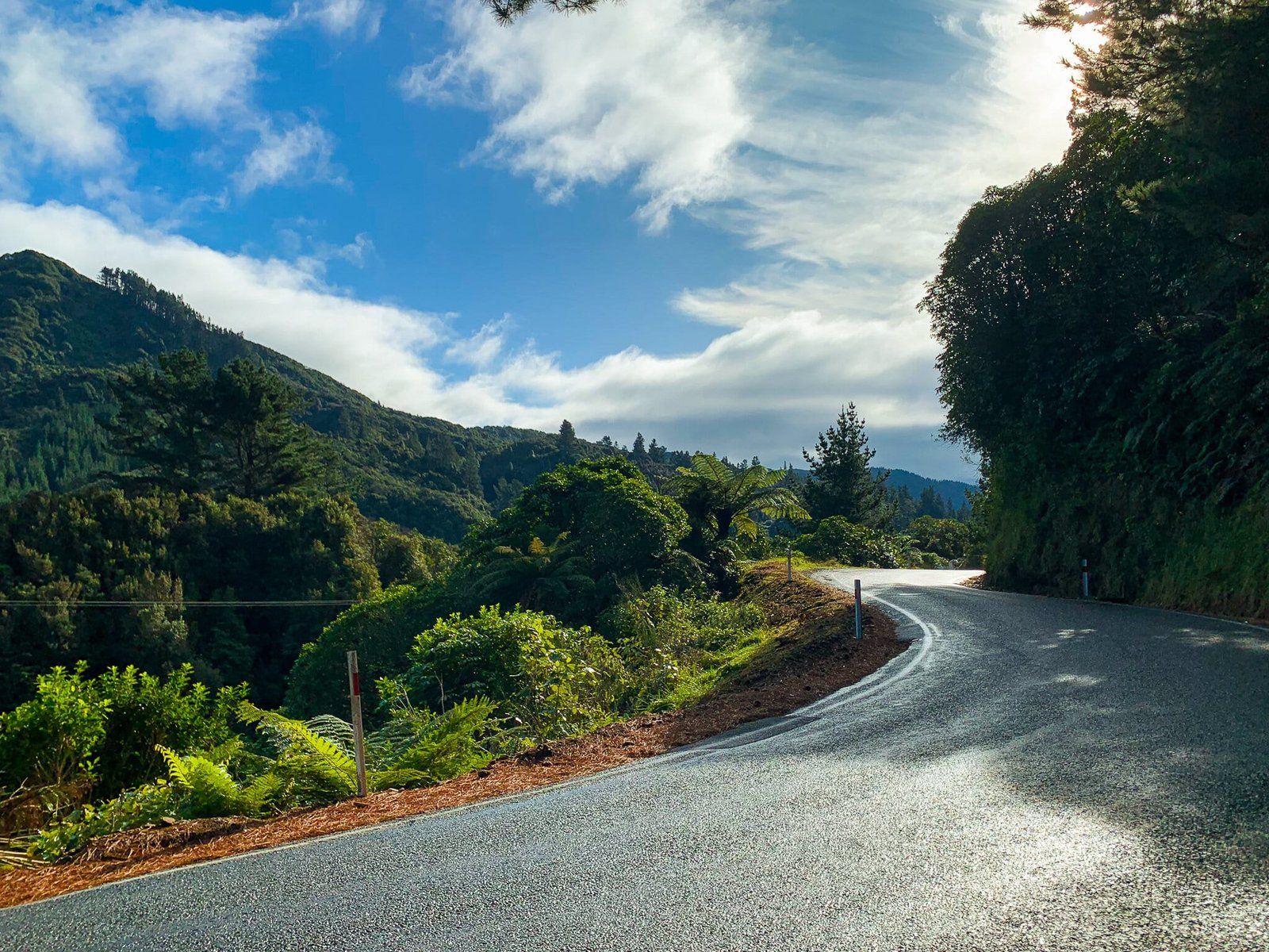 Exploring the Ranges of Wellington