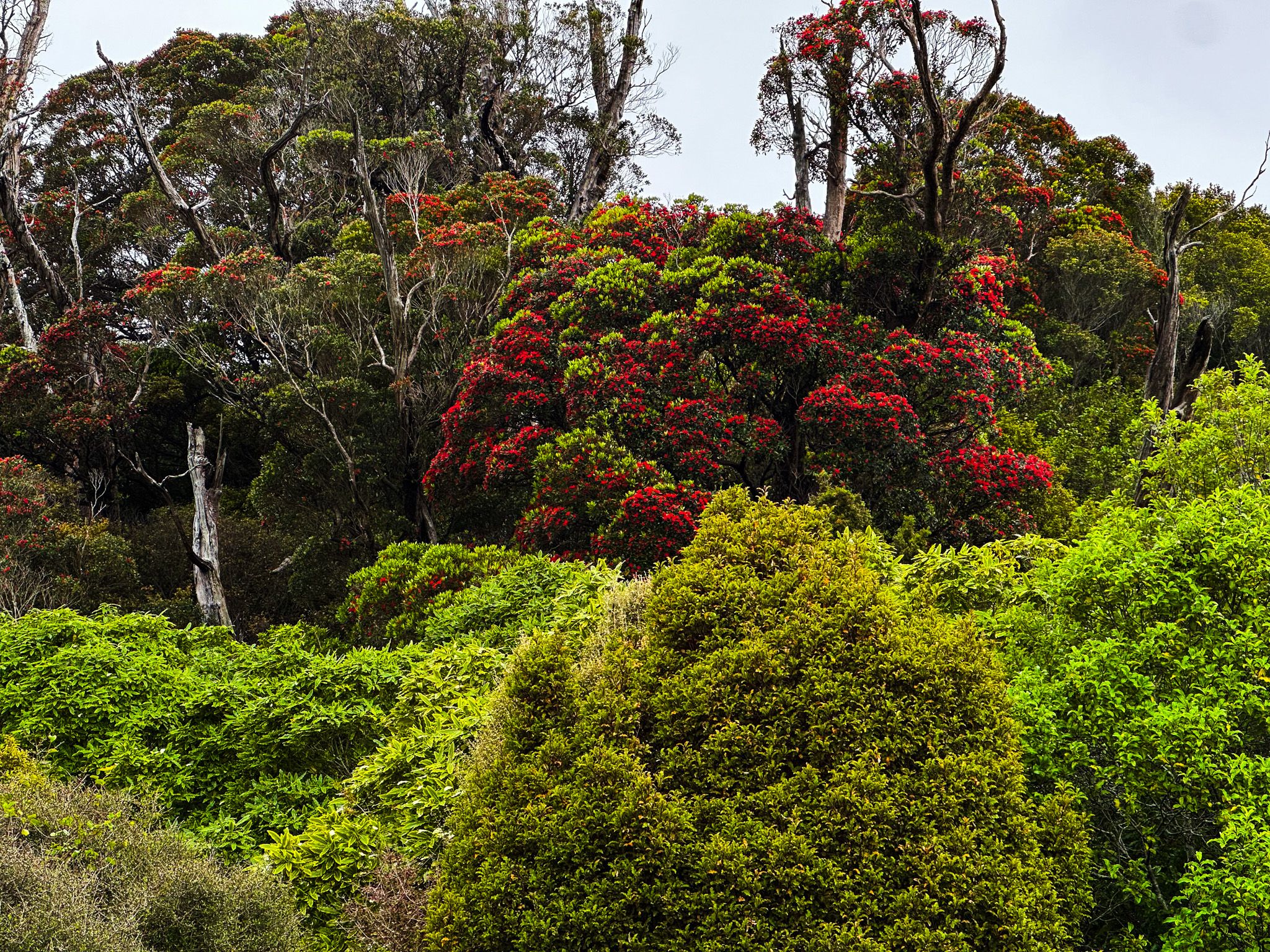 Image 8 of 10