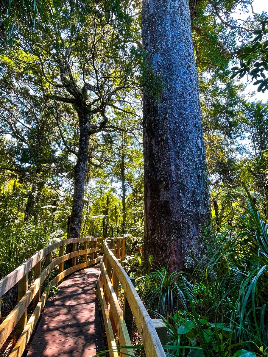 Image 8 of 10