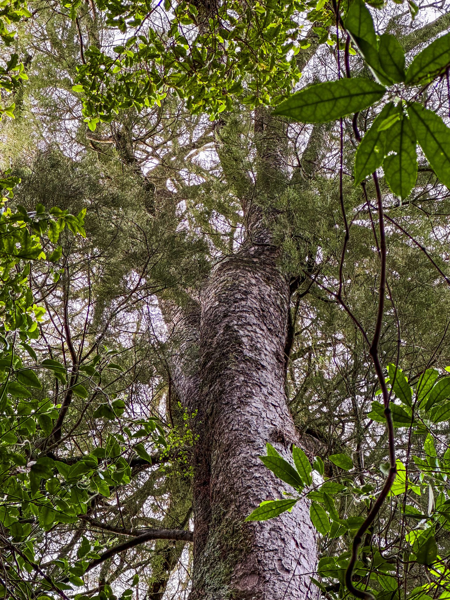 Image 10 of 10