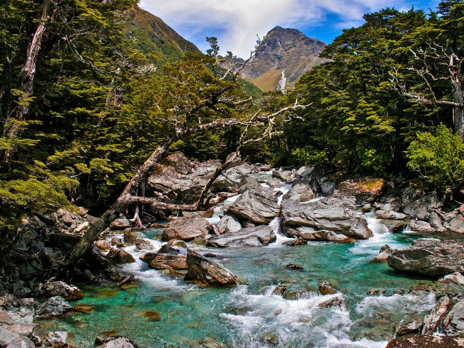 Image 8 of 10
