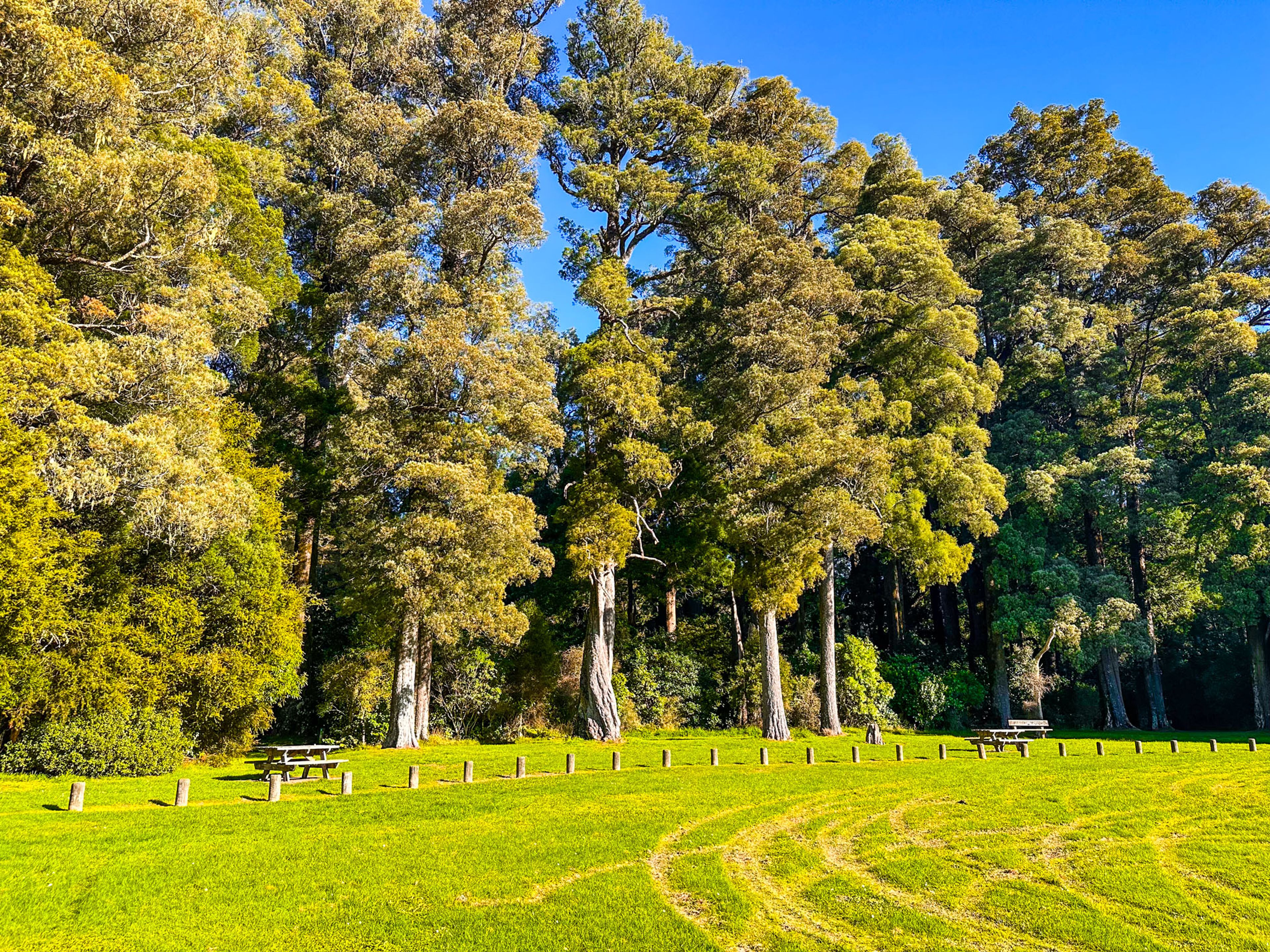 Omanalutu Reserve