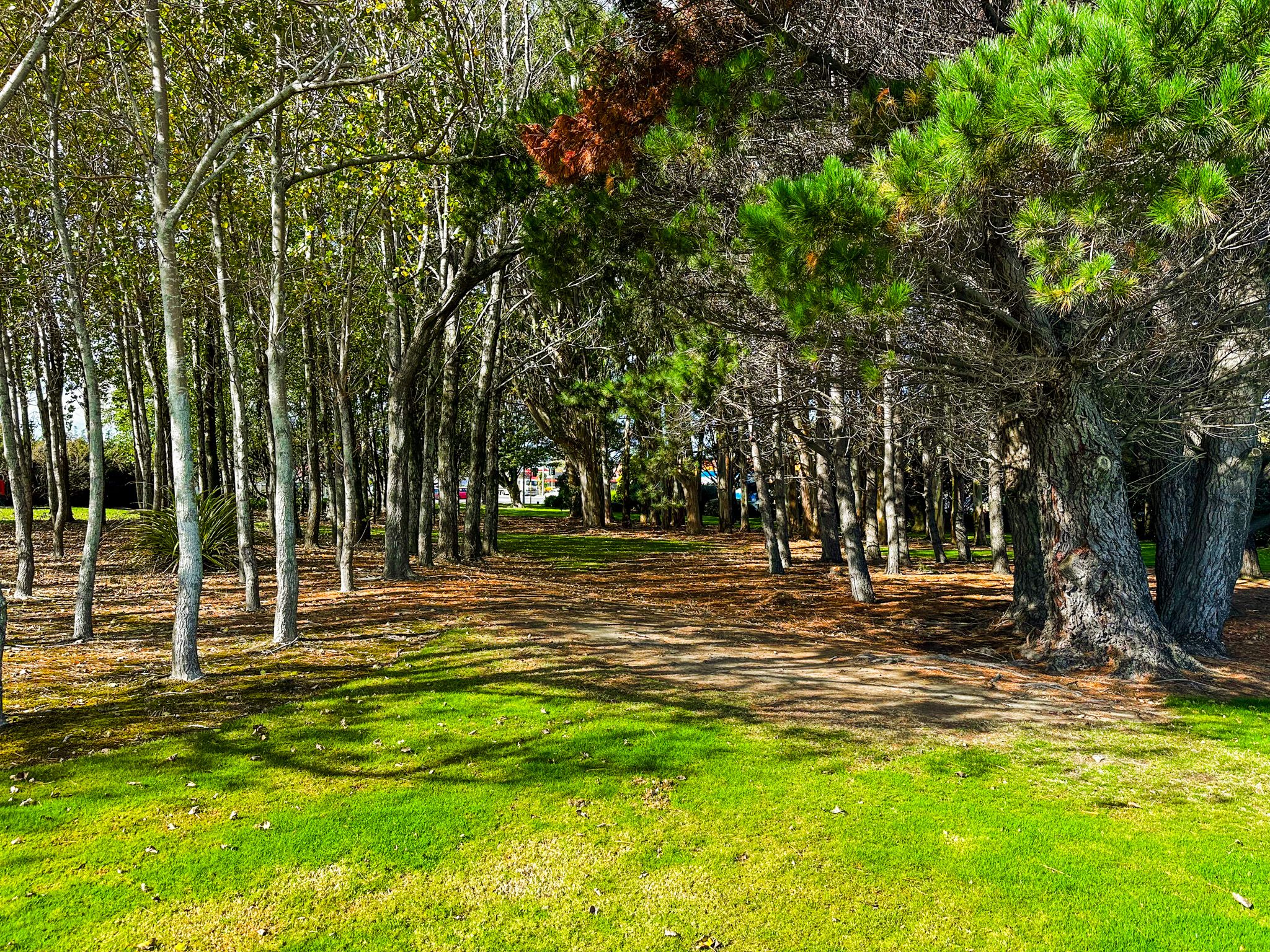 Image 9 of 10
