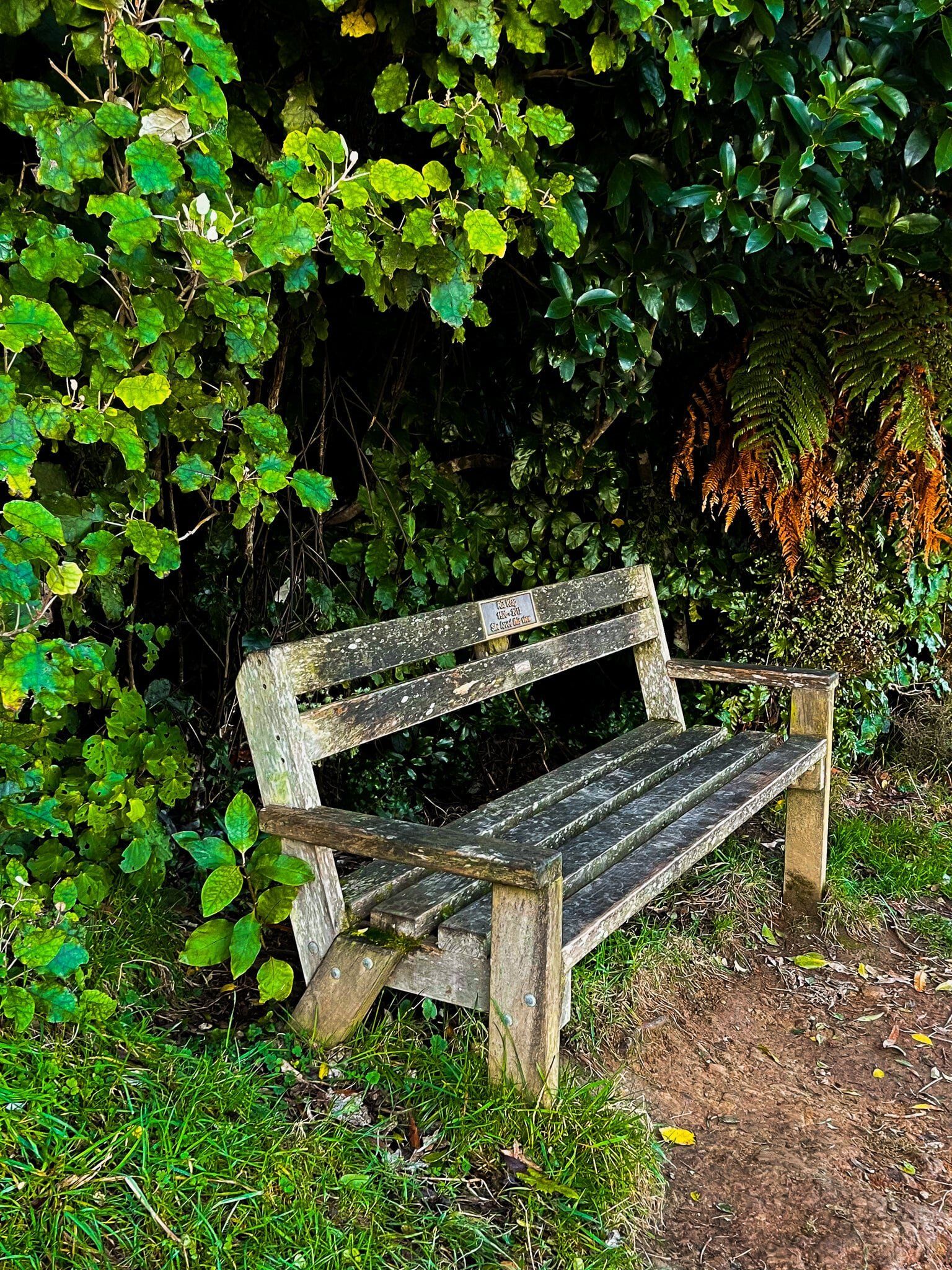 Image 7 of 12