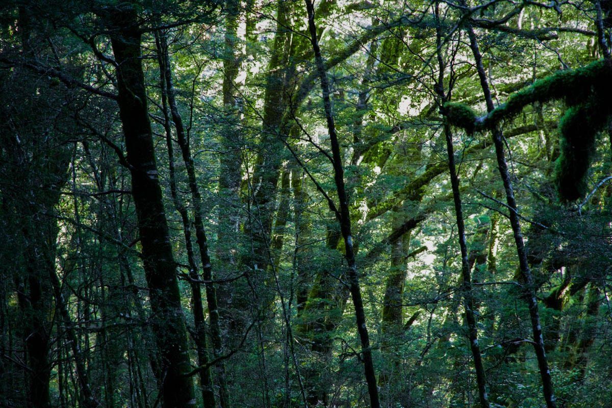 Image 1 of 9