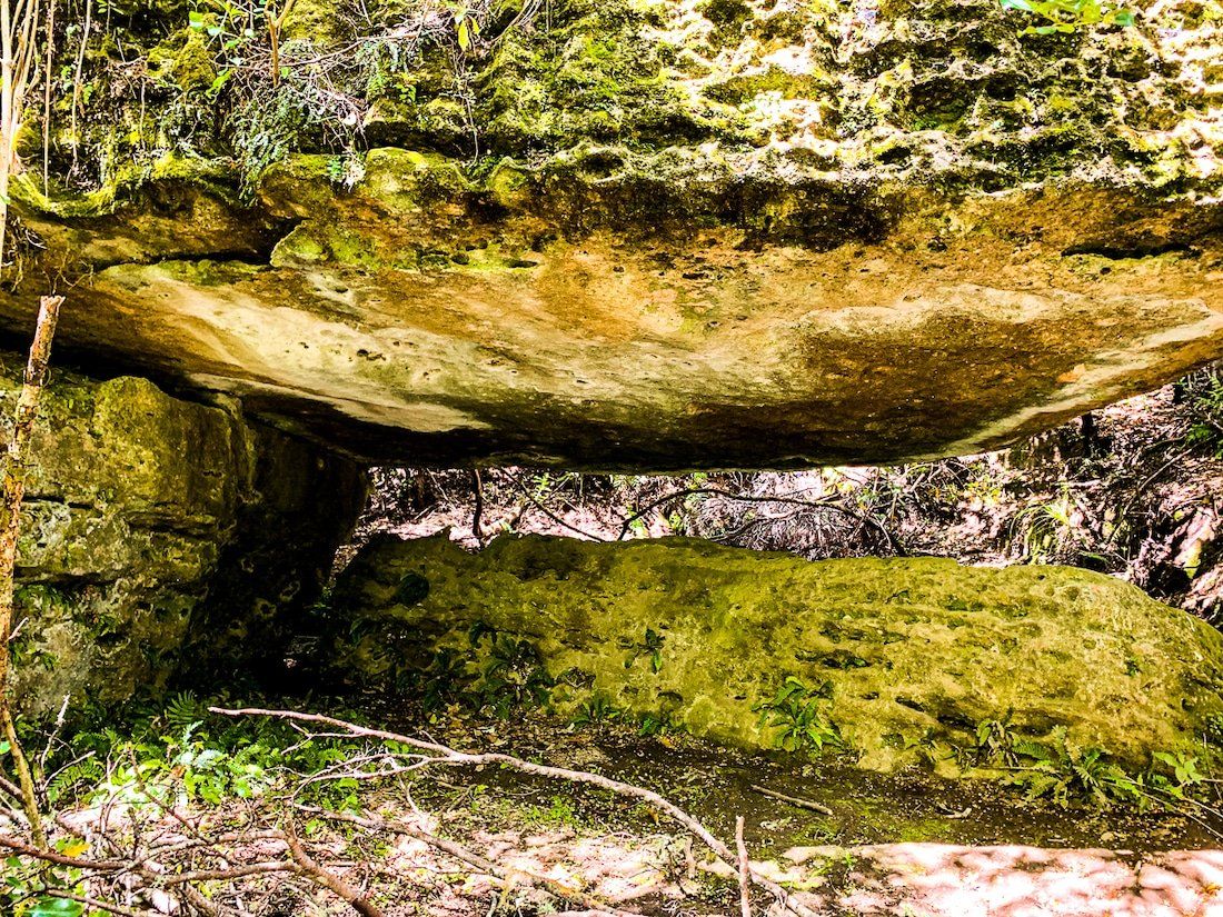 Image 7 of 7