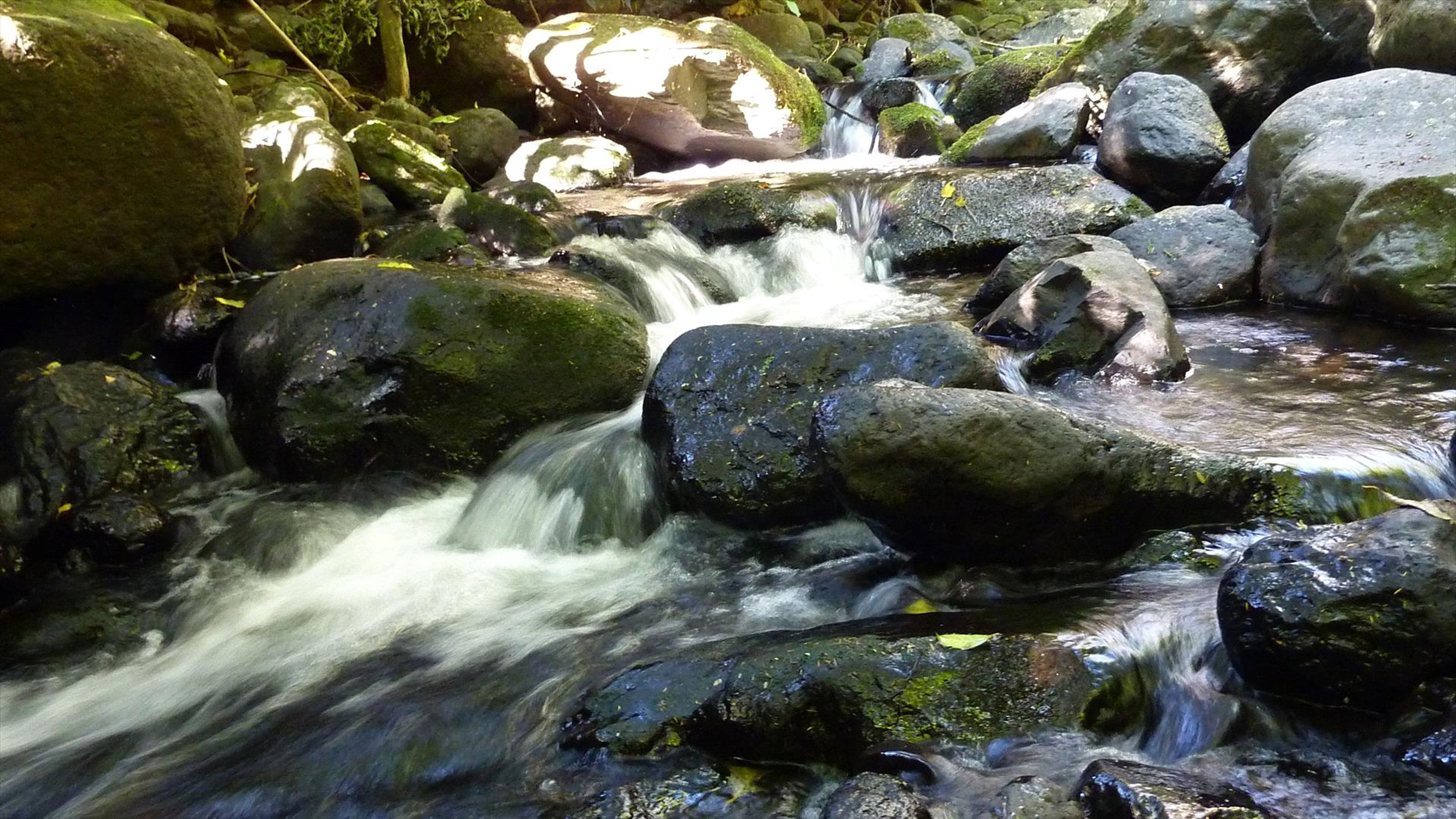 Little River Campground