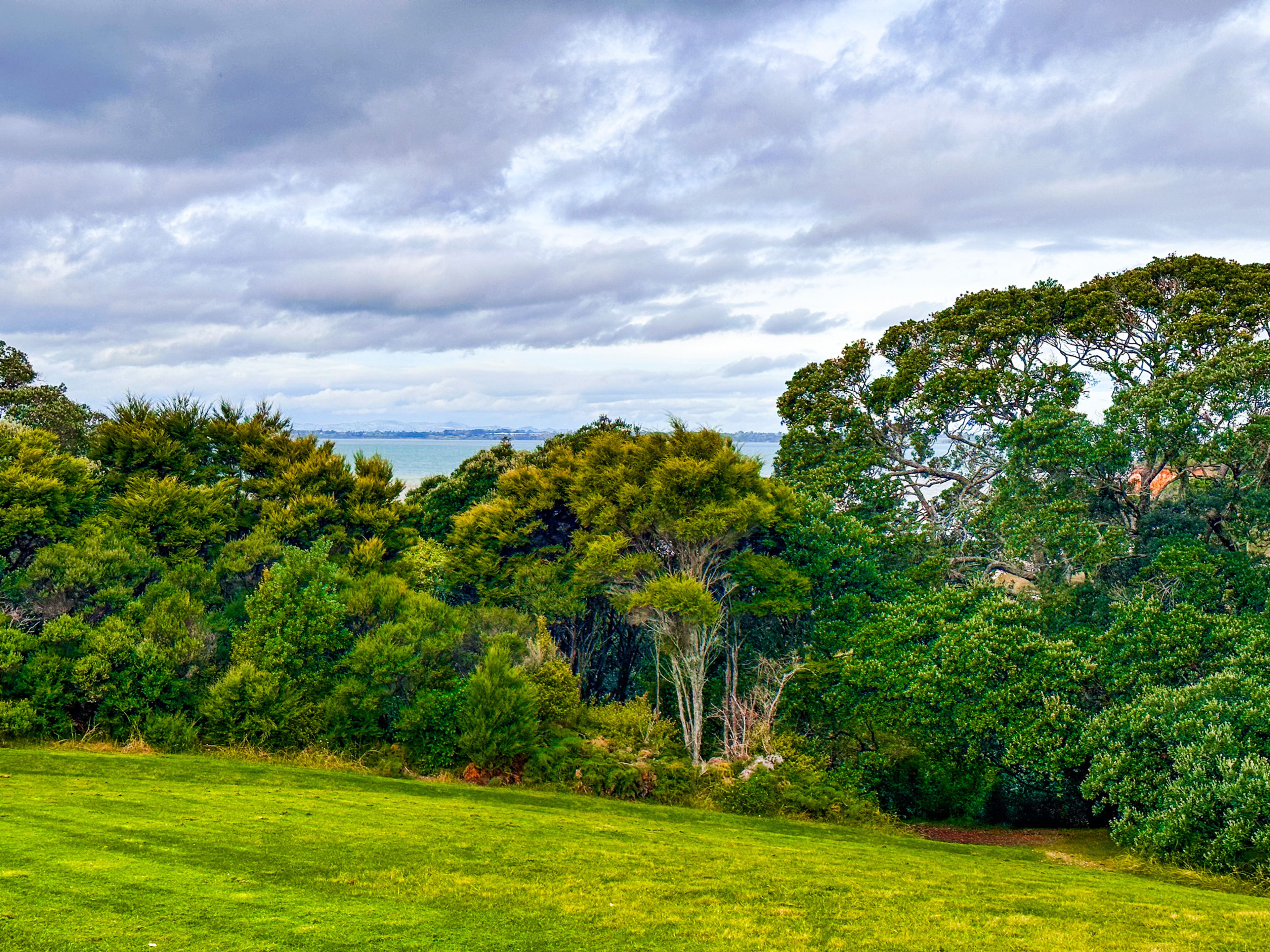 Image 2 of 10