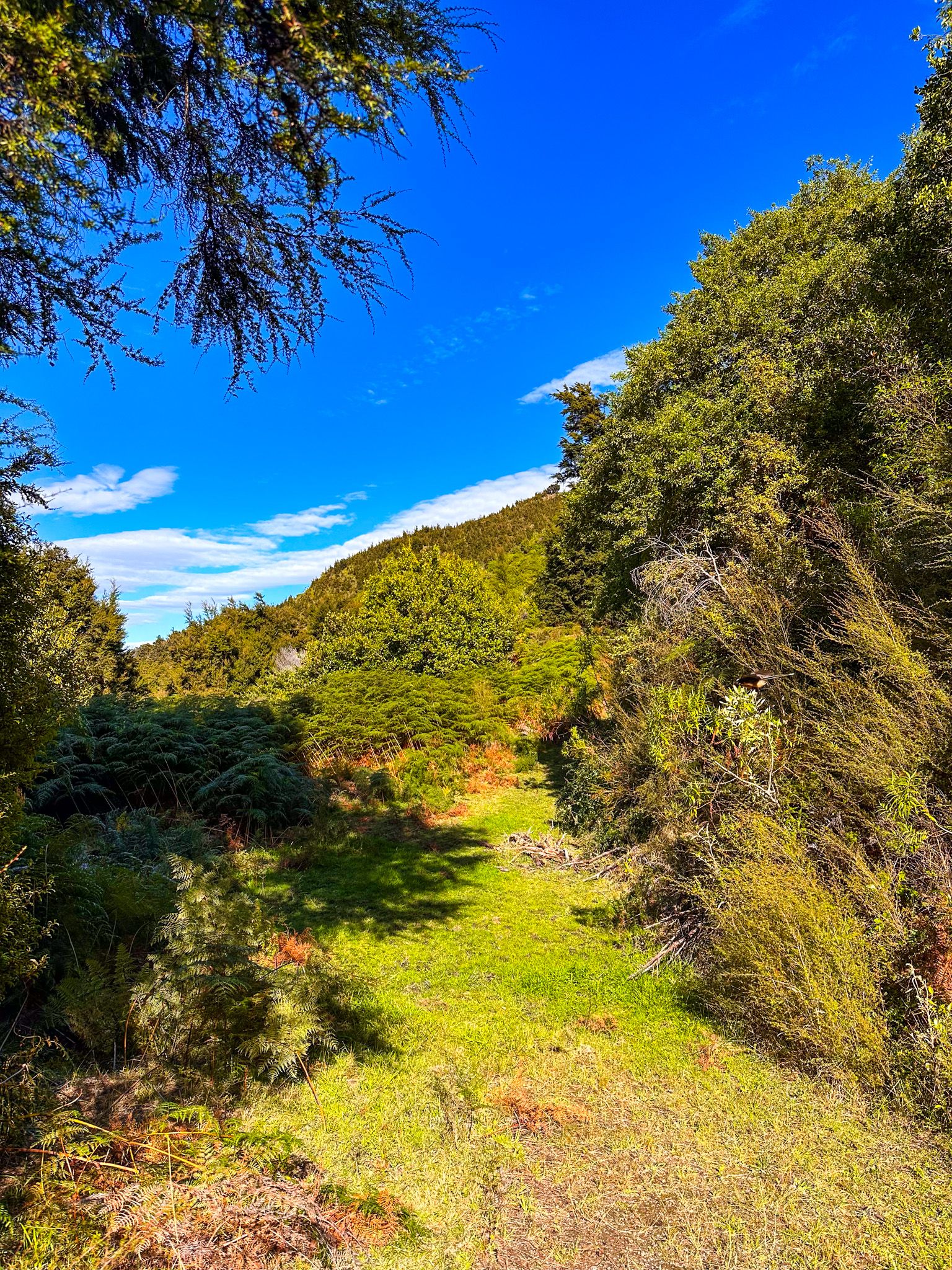 Image 6 of 10