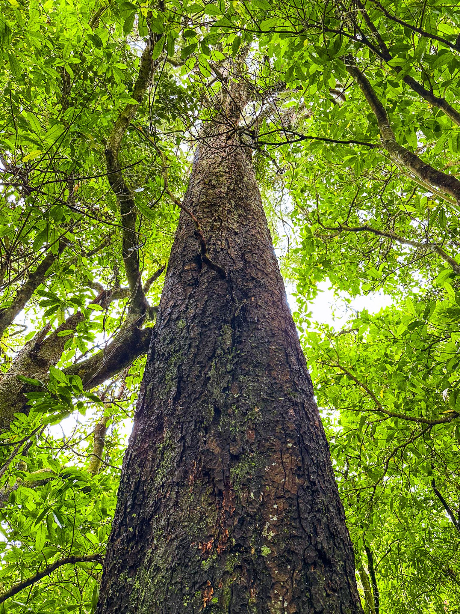 Image 9 of 10