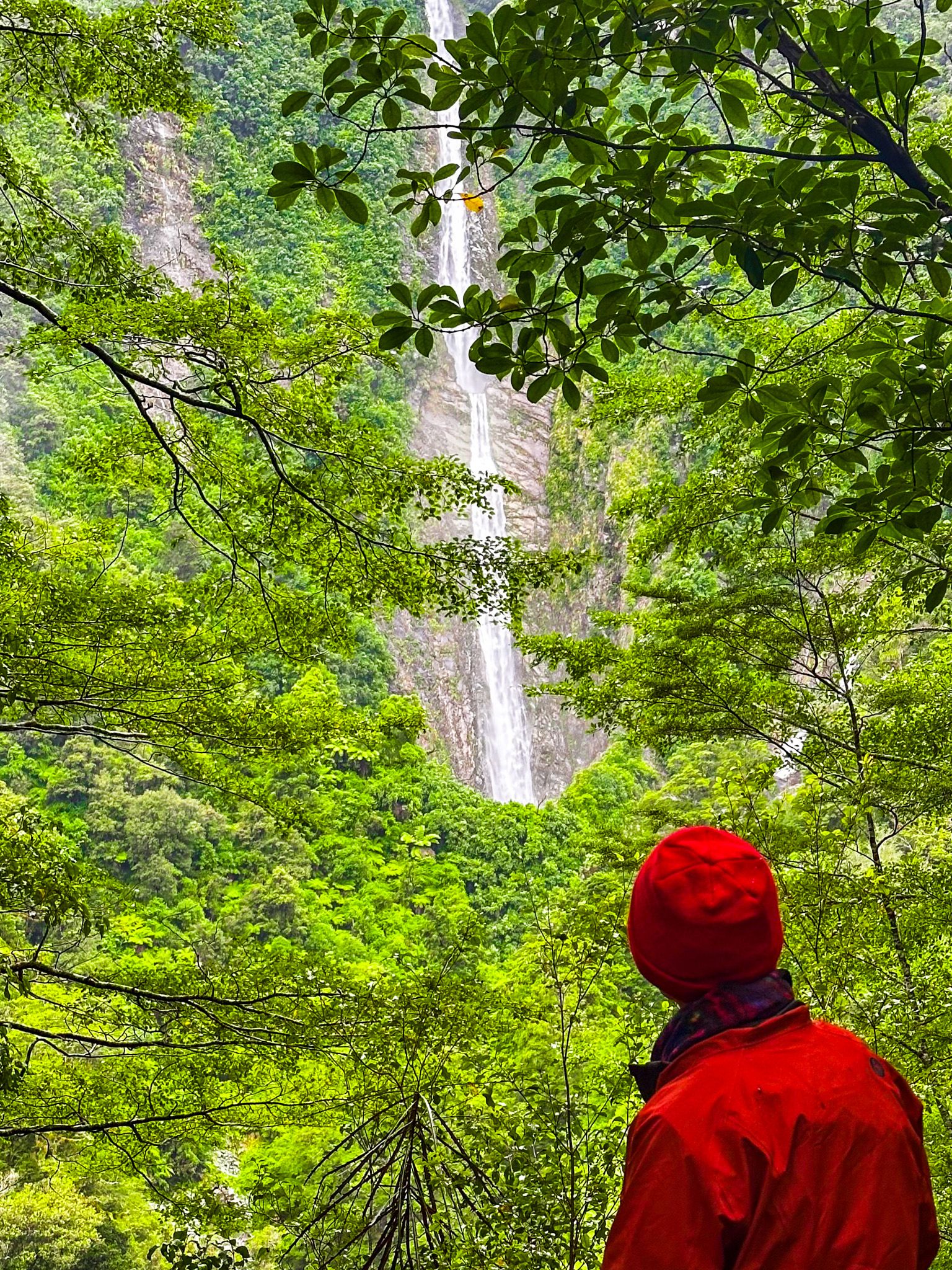 Person in a red jacked looking up to the Humboldt Falls
