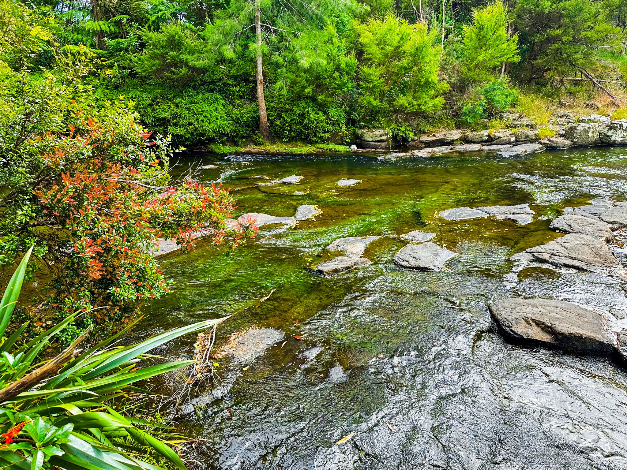 Image 8 of 10