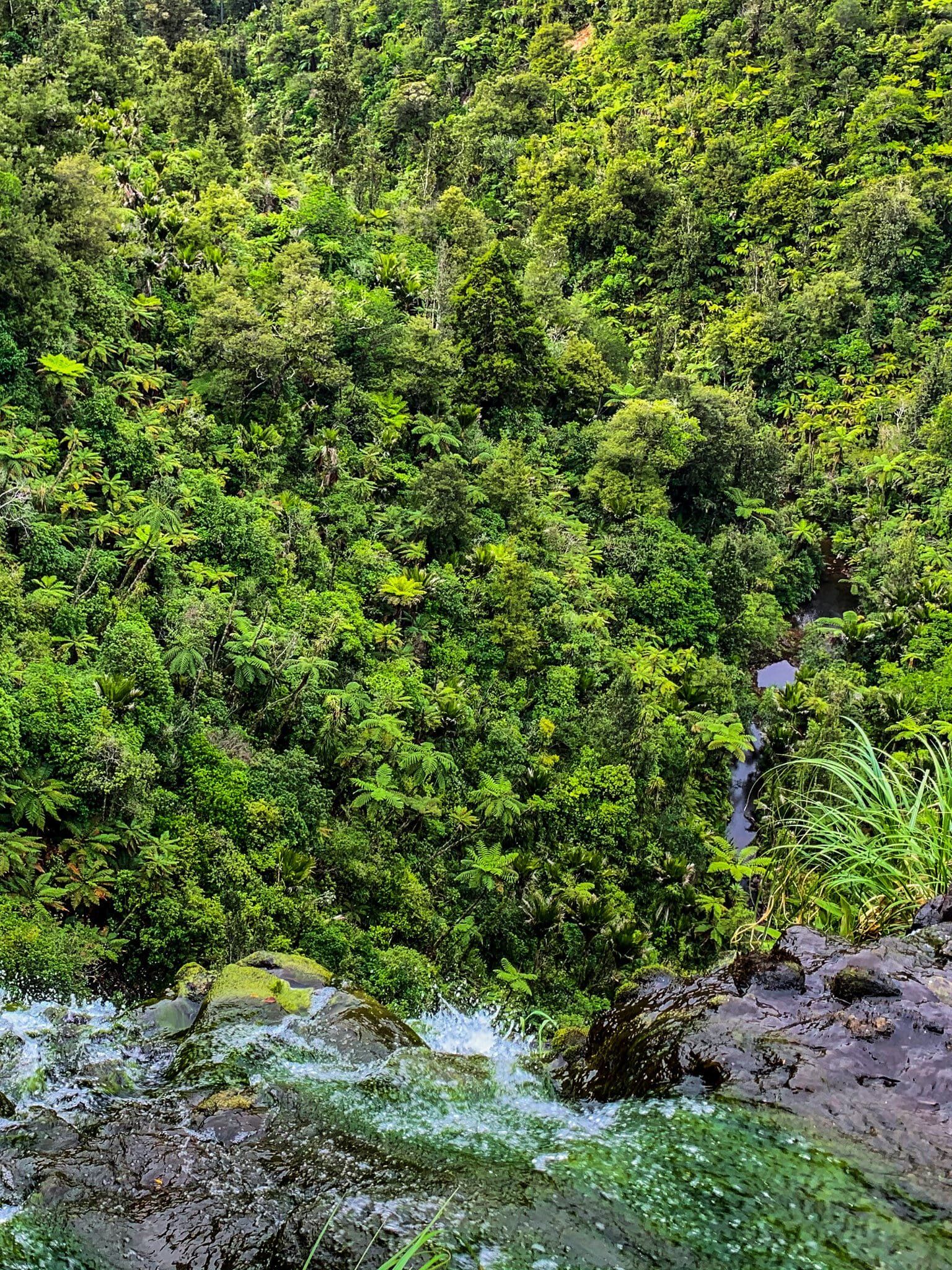 Image 9 of 12
