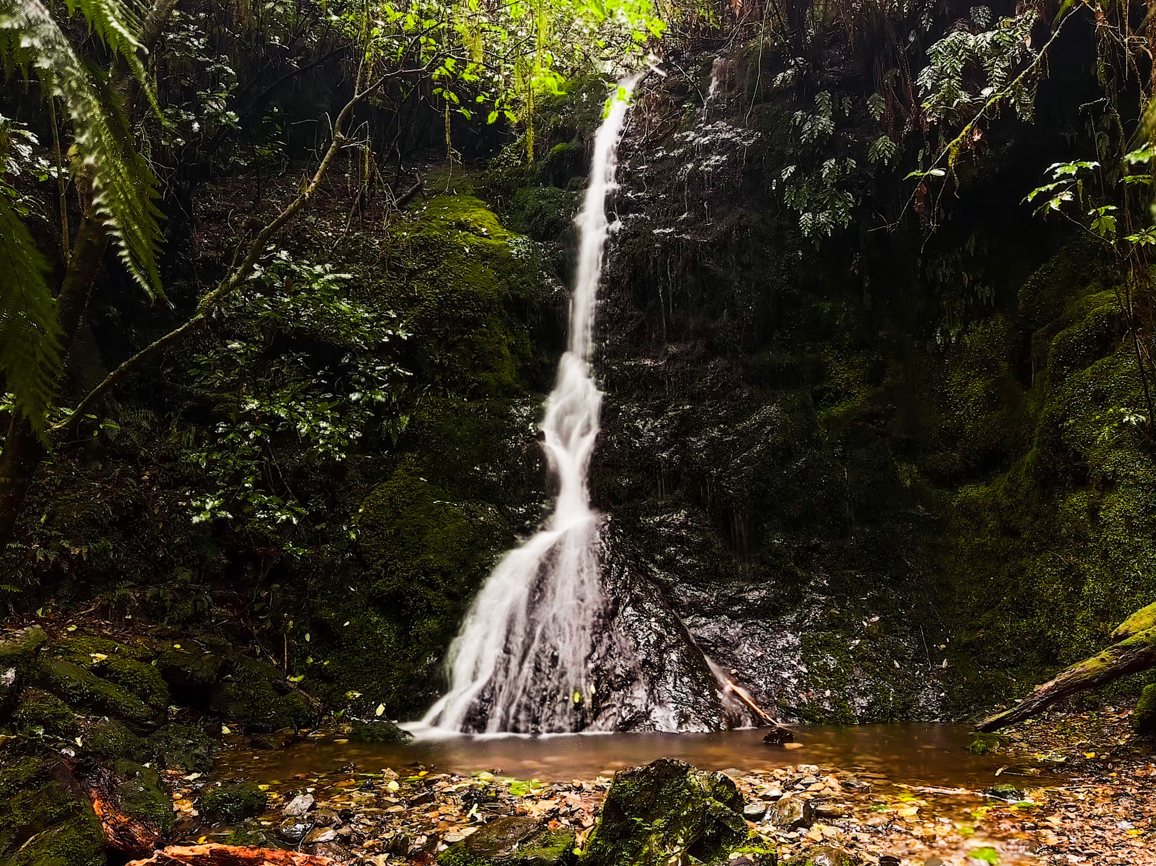 Elvy Waterfalls Track