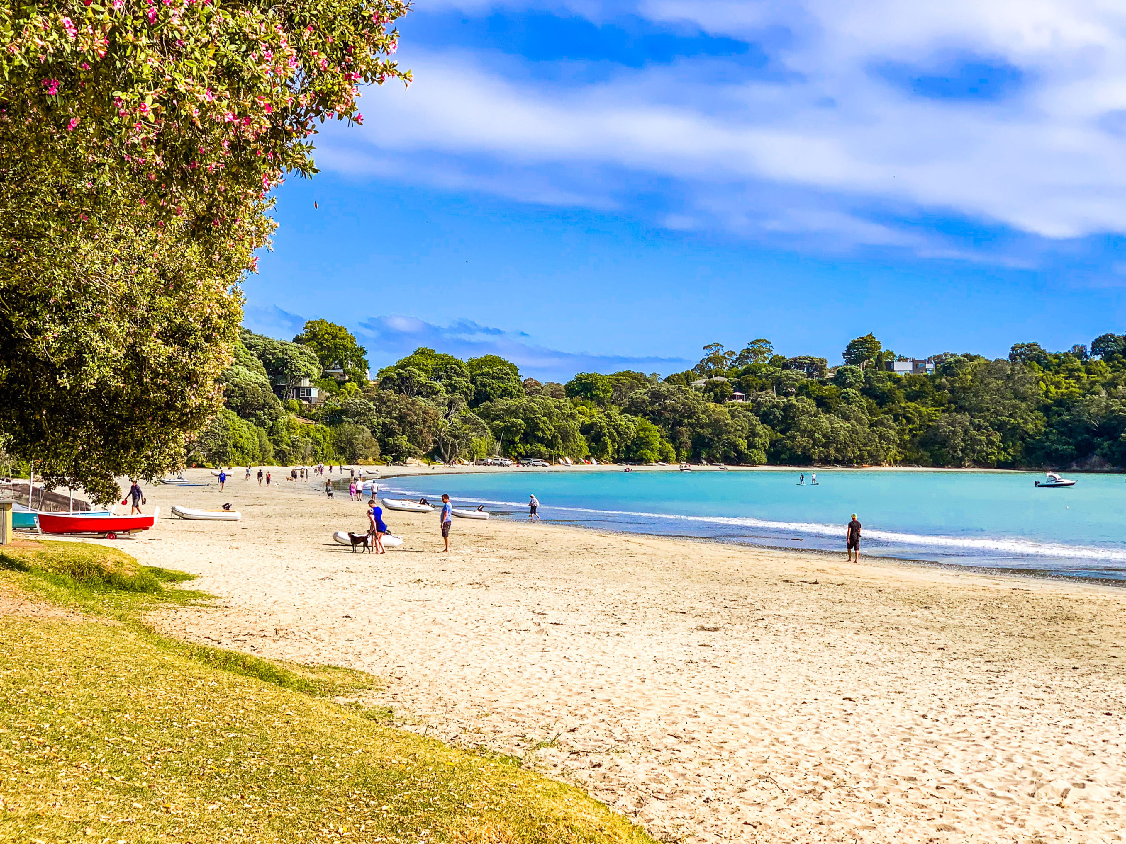 People enjoying a sunny day at tree lined Big Oneroa Beach