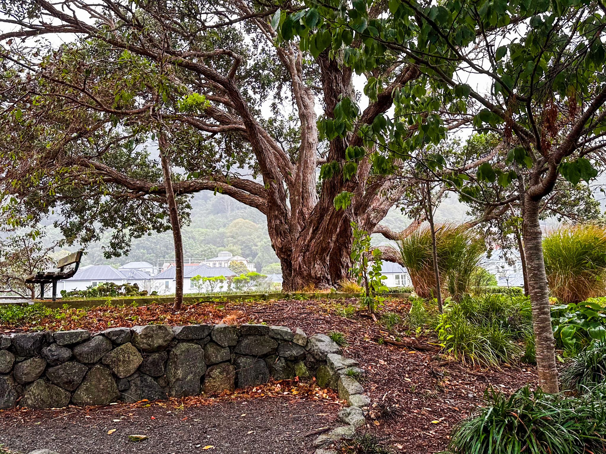 Image 5 of 10