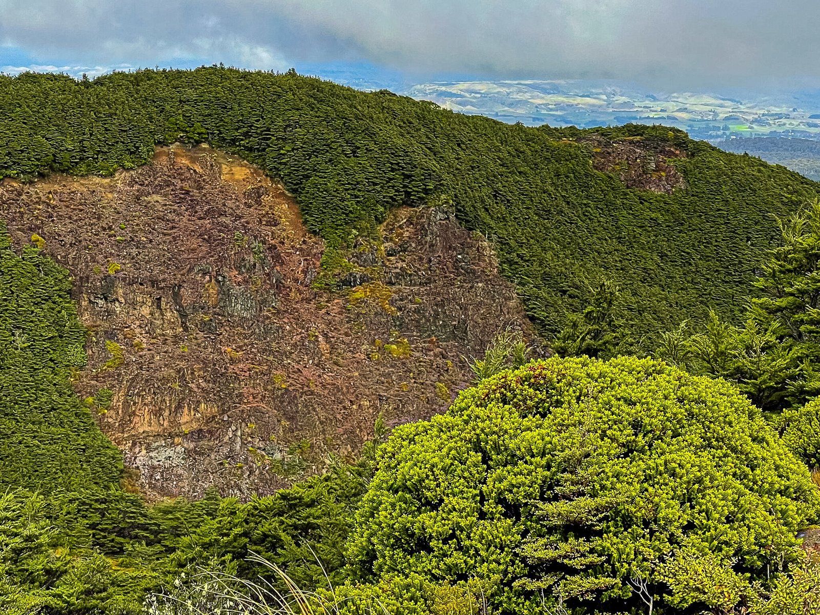 Image 6 of 8
