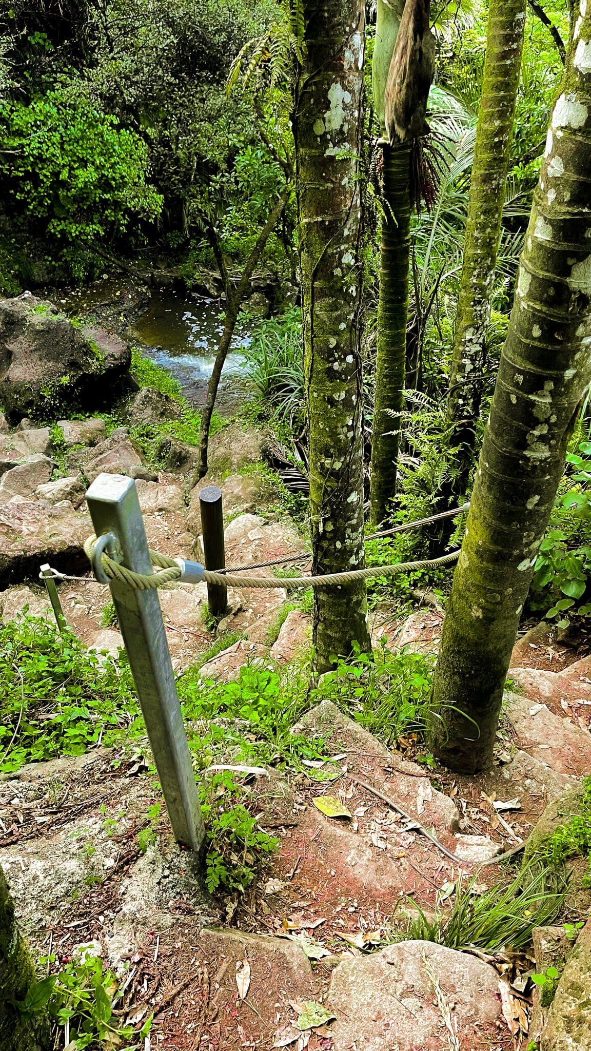 Image 8 of 8