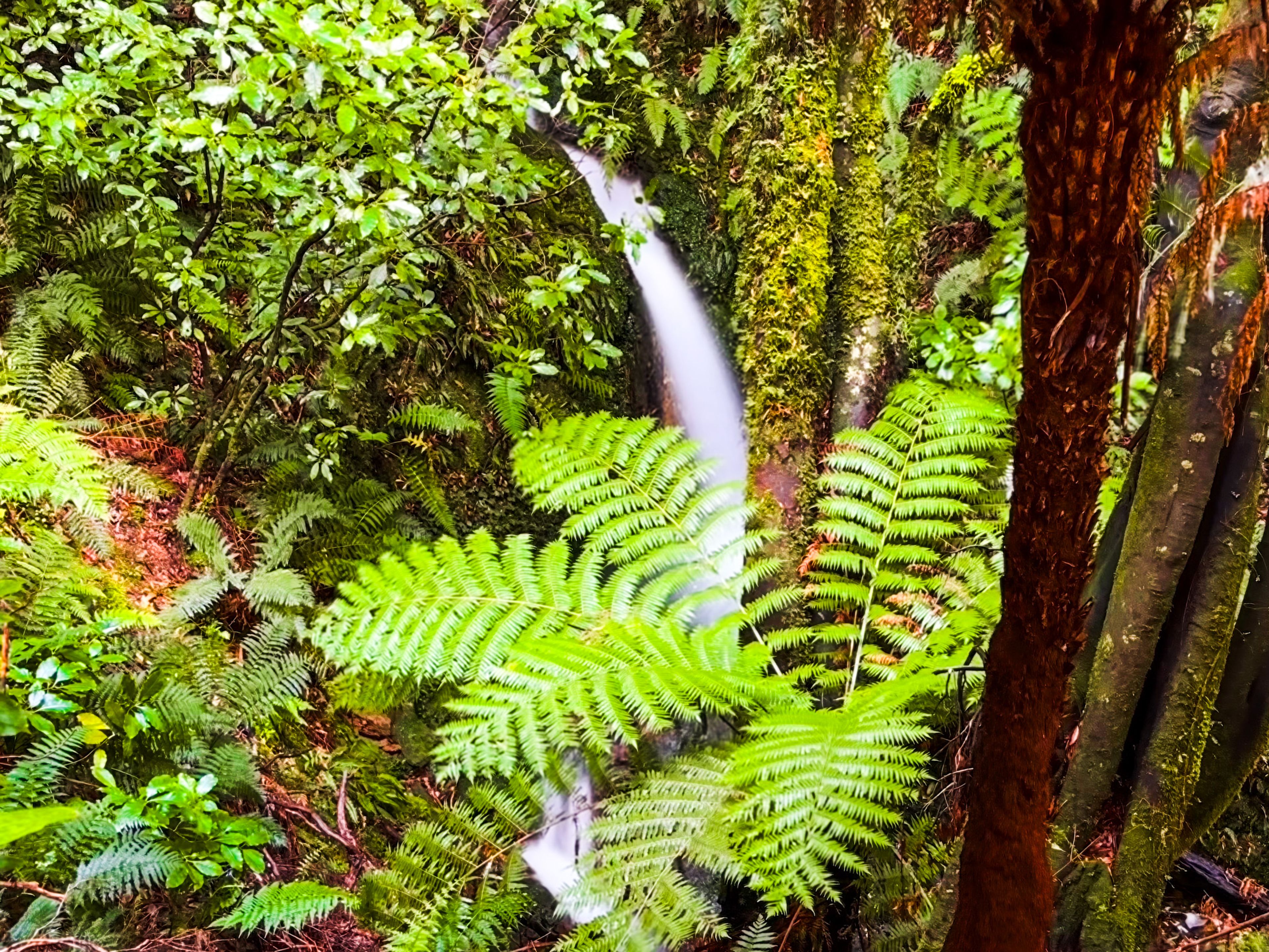 Image 4 of 10