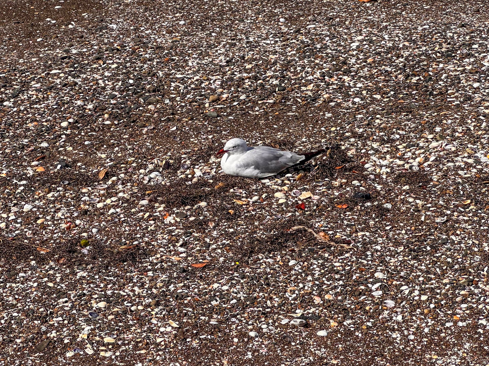 Image 8 of 10