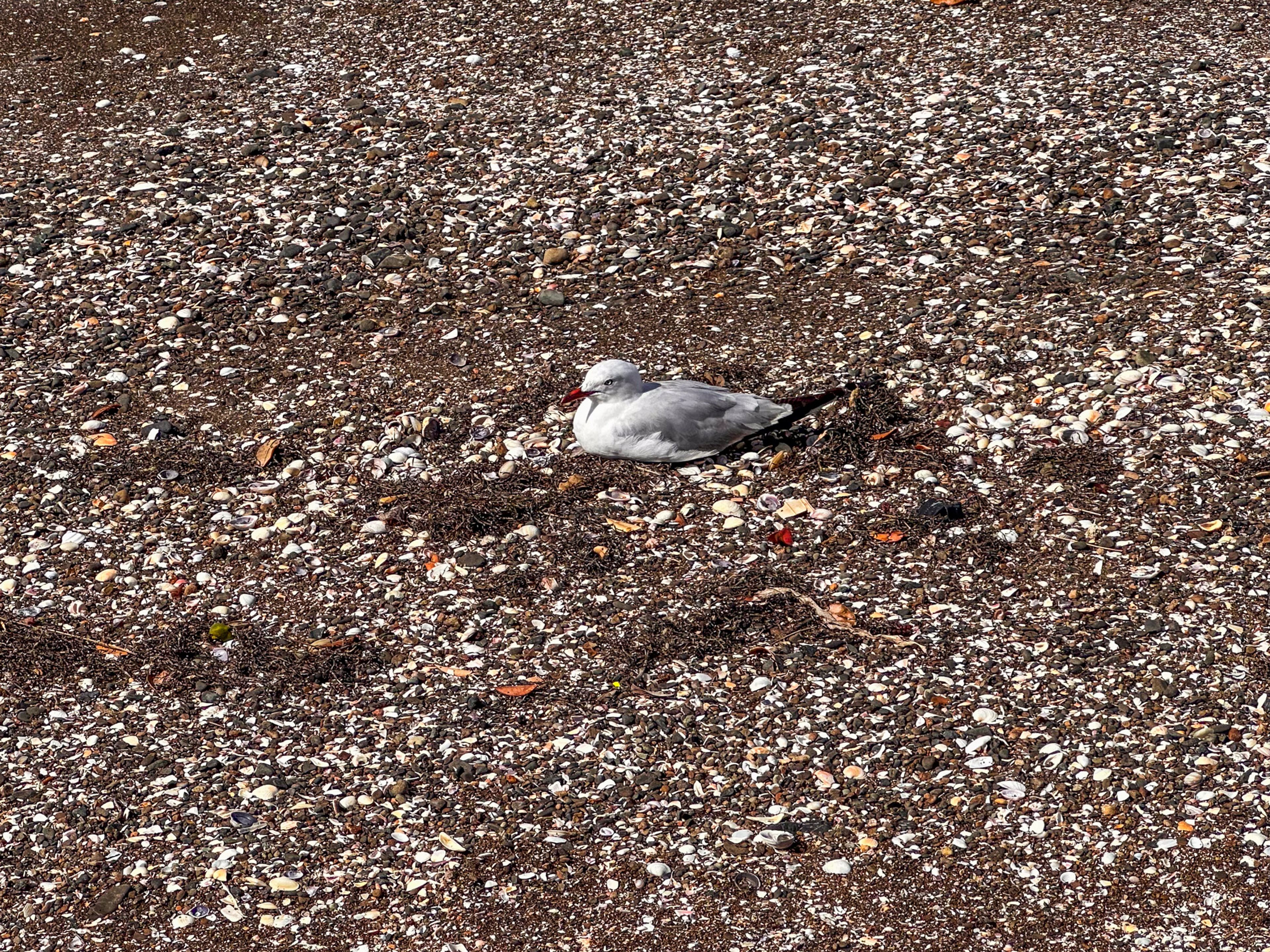Image 8 of 10