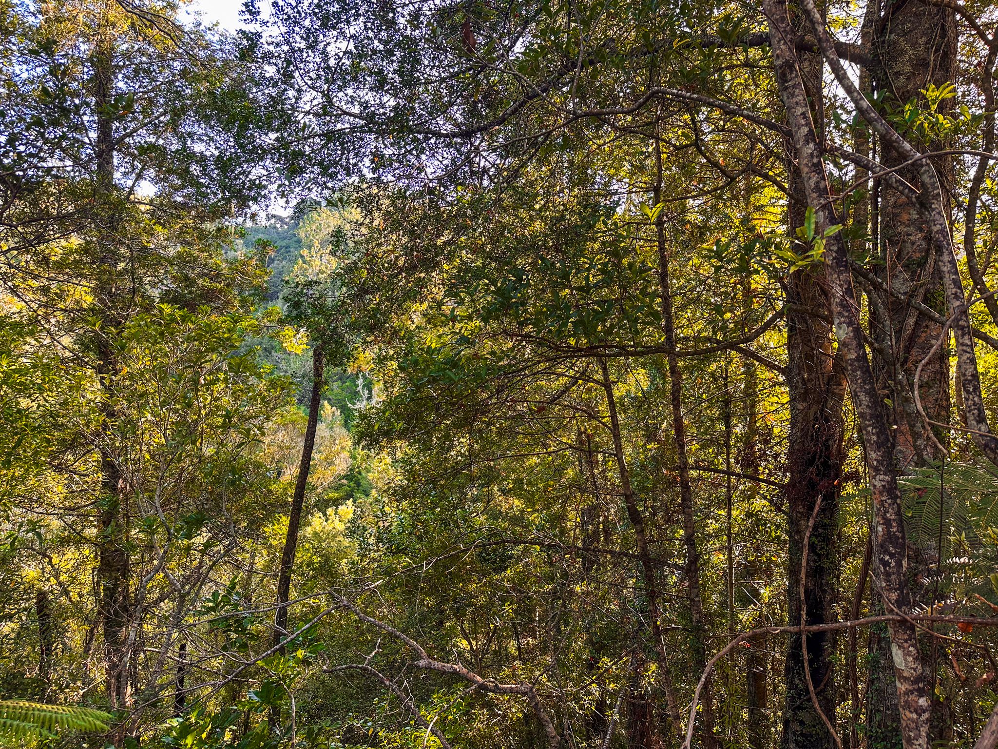 Image 9 of 10