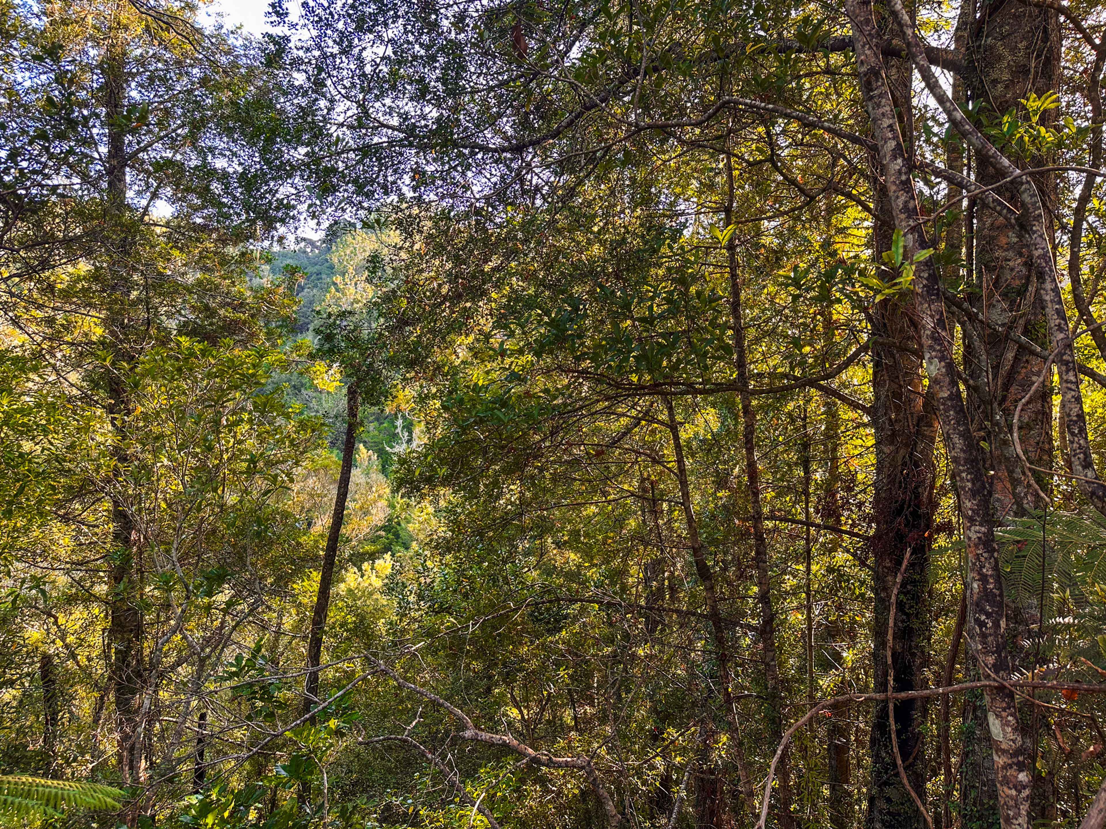 Image 9 of 10