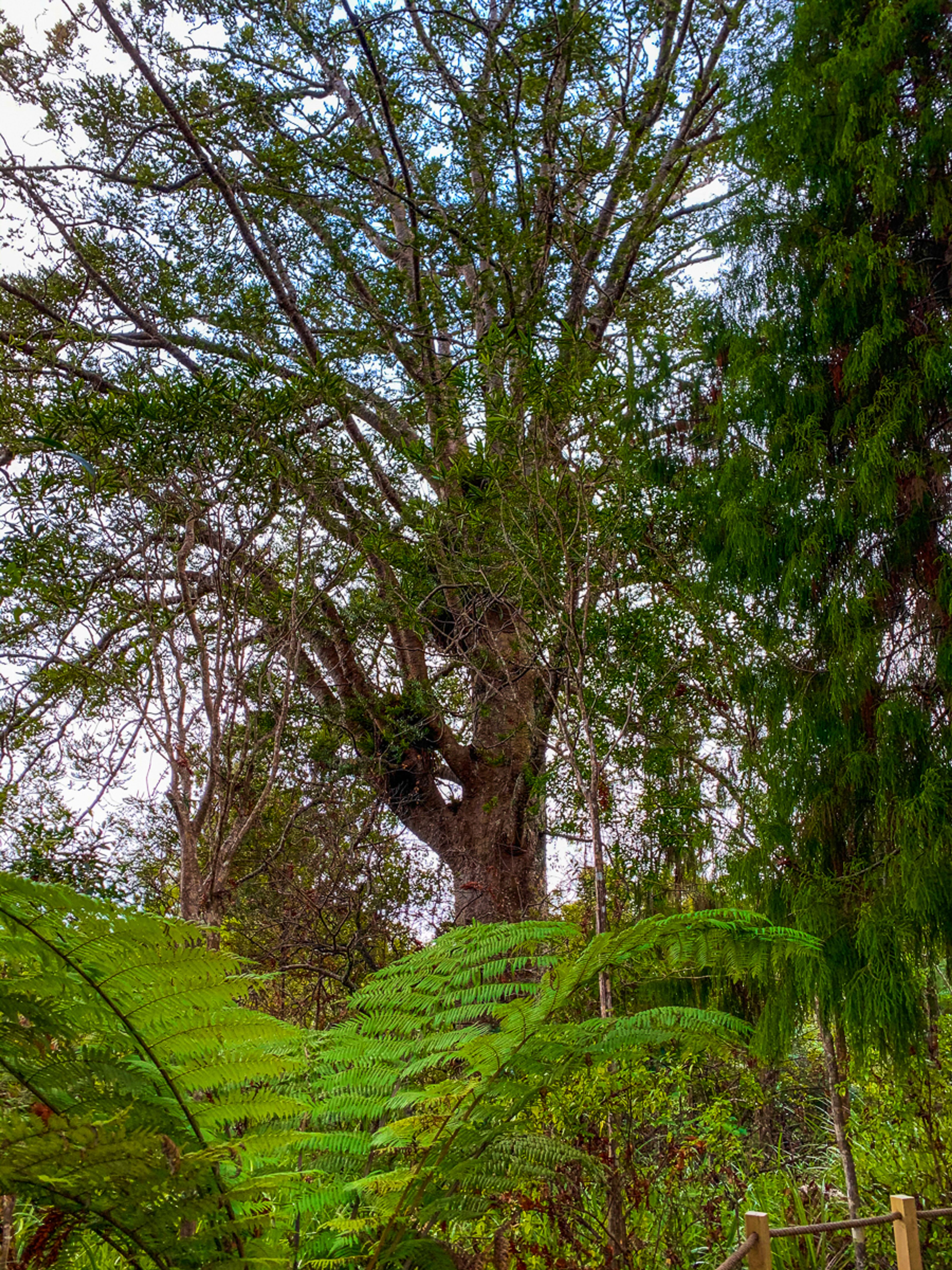 Image 9 of 10