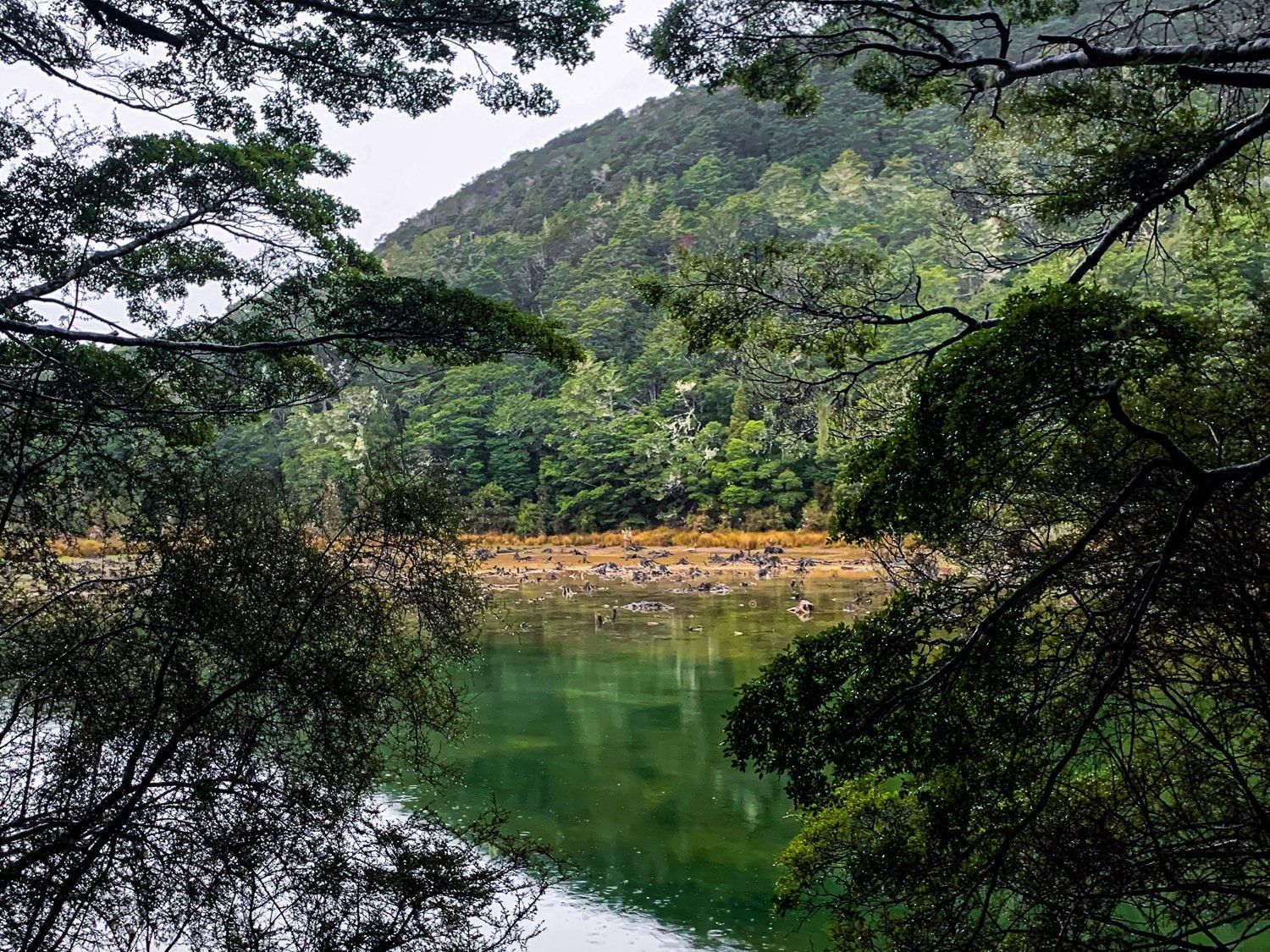 The Stunning Southern Scenic Route: the Best of Fiordland