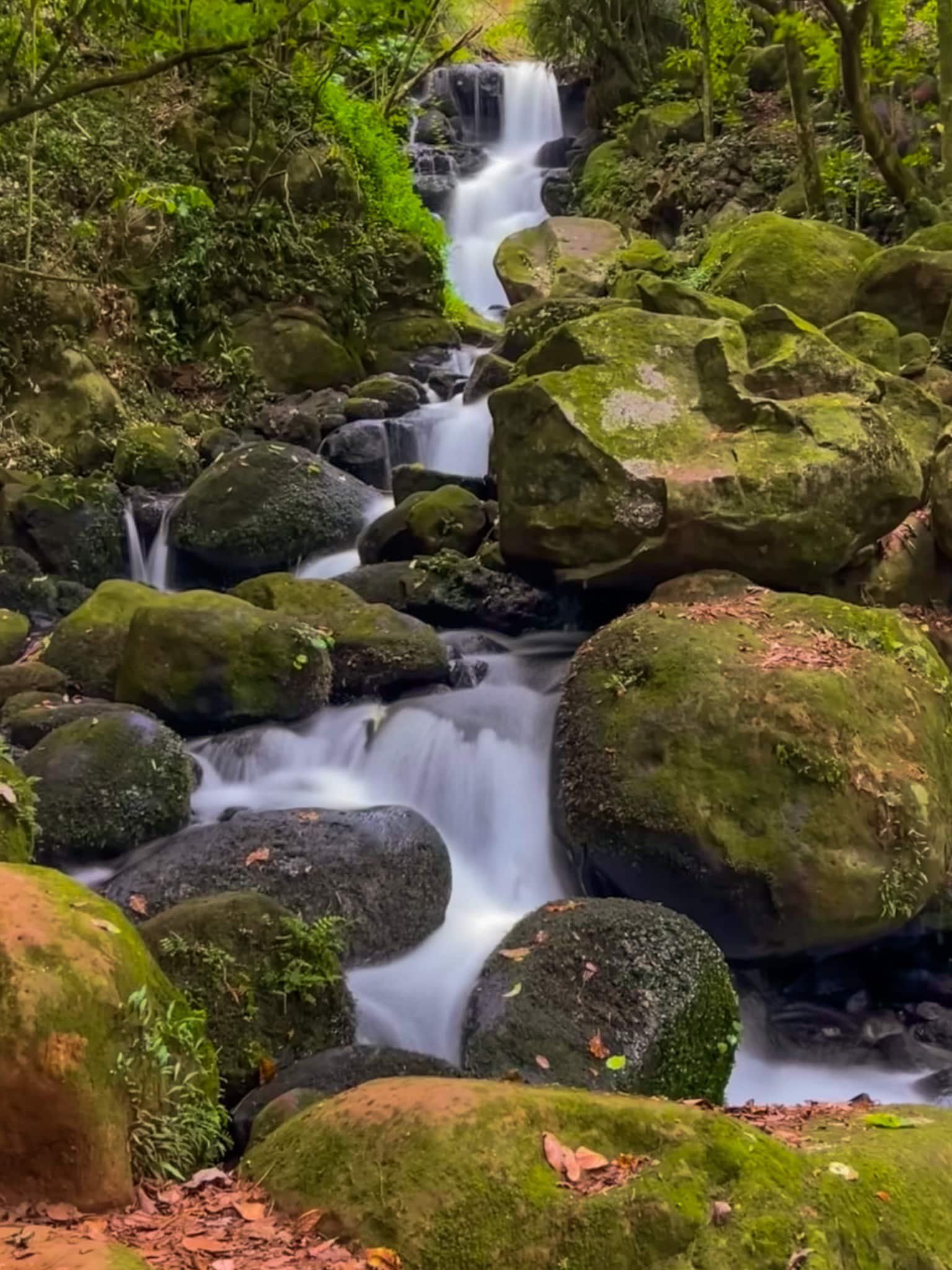 Image 6 of 8