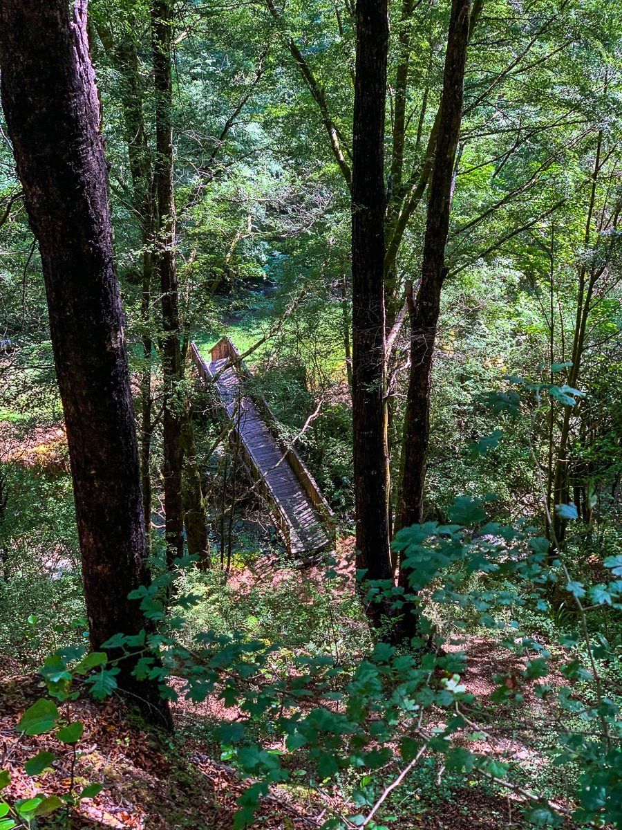 Image 4 of 7