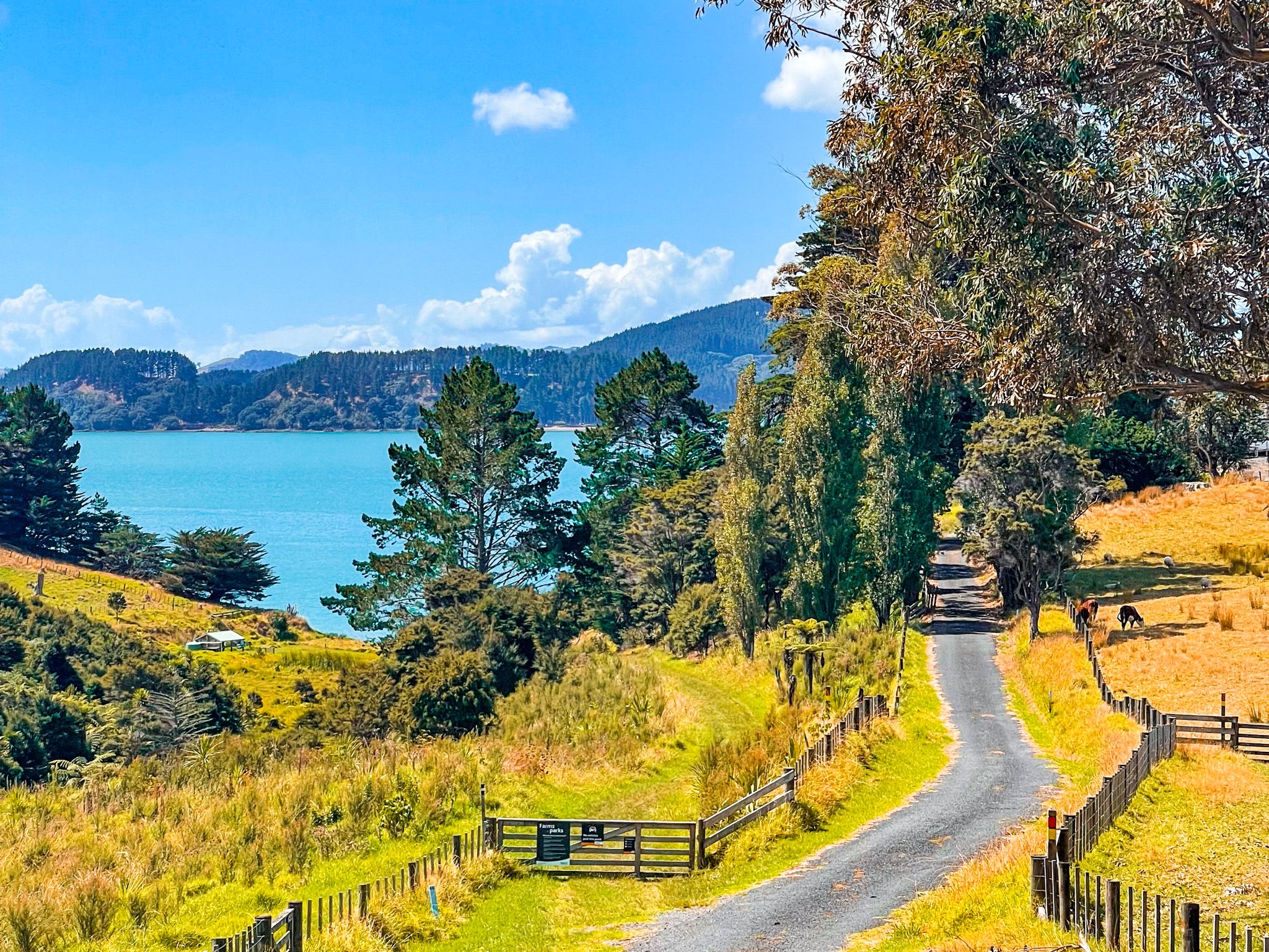 Waitawa Bay