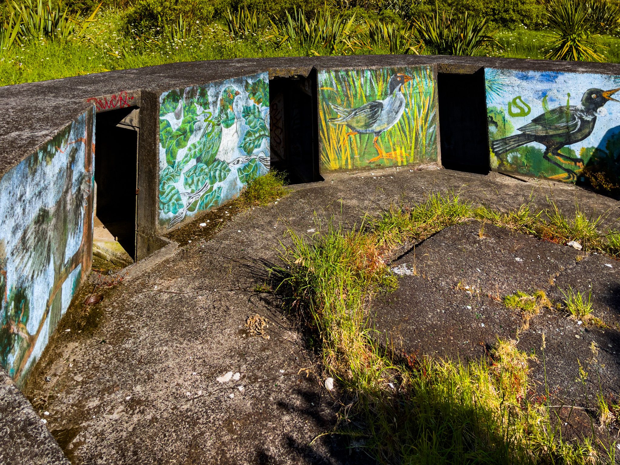 Takaparawha Point