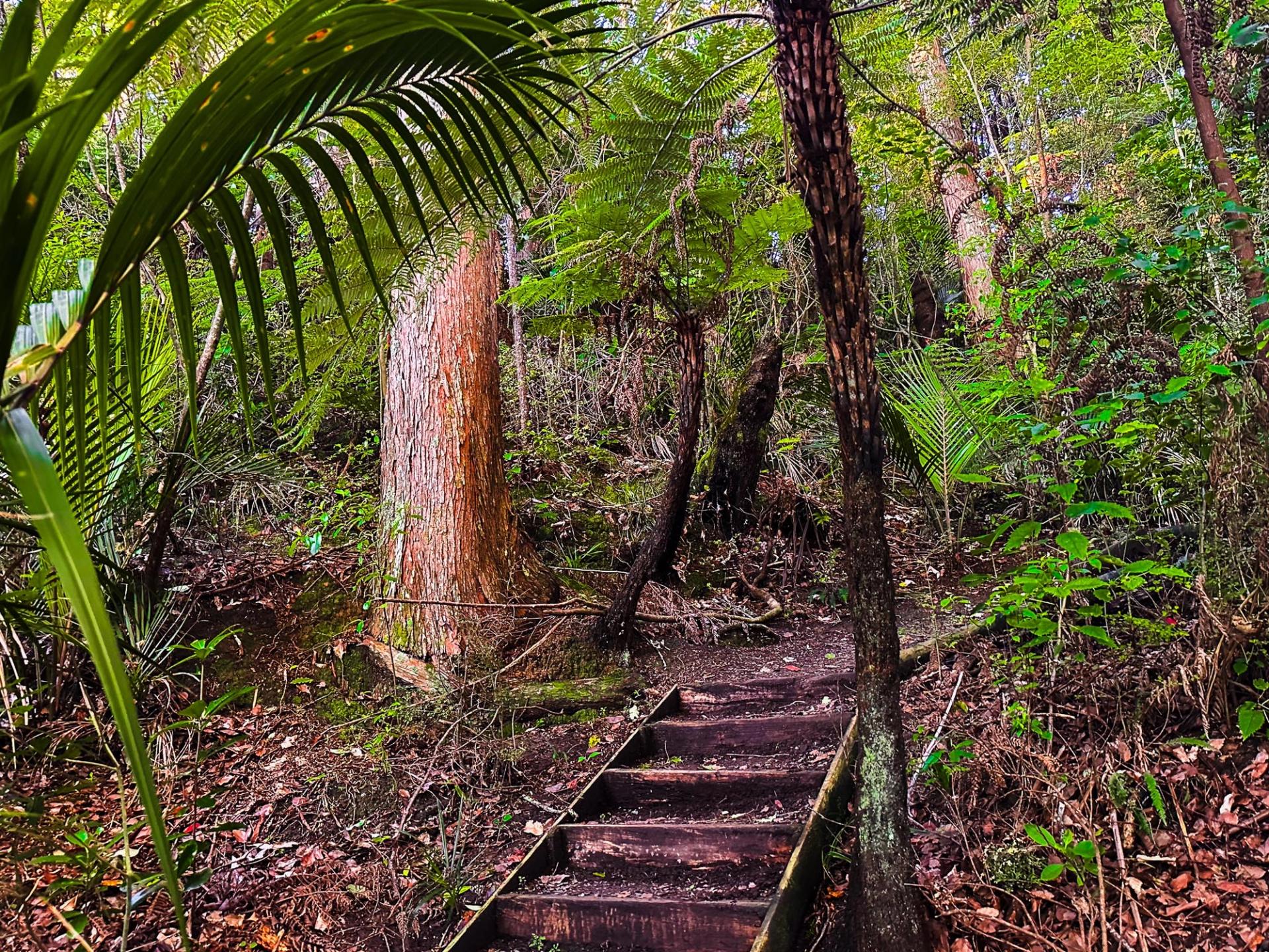 Puhoi | North Auckland - New Zealand Trip Ideas