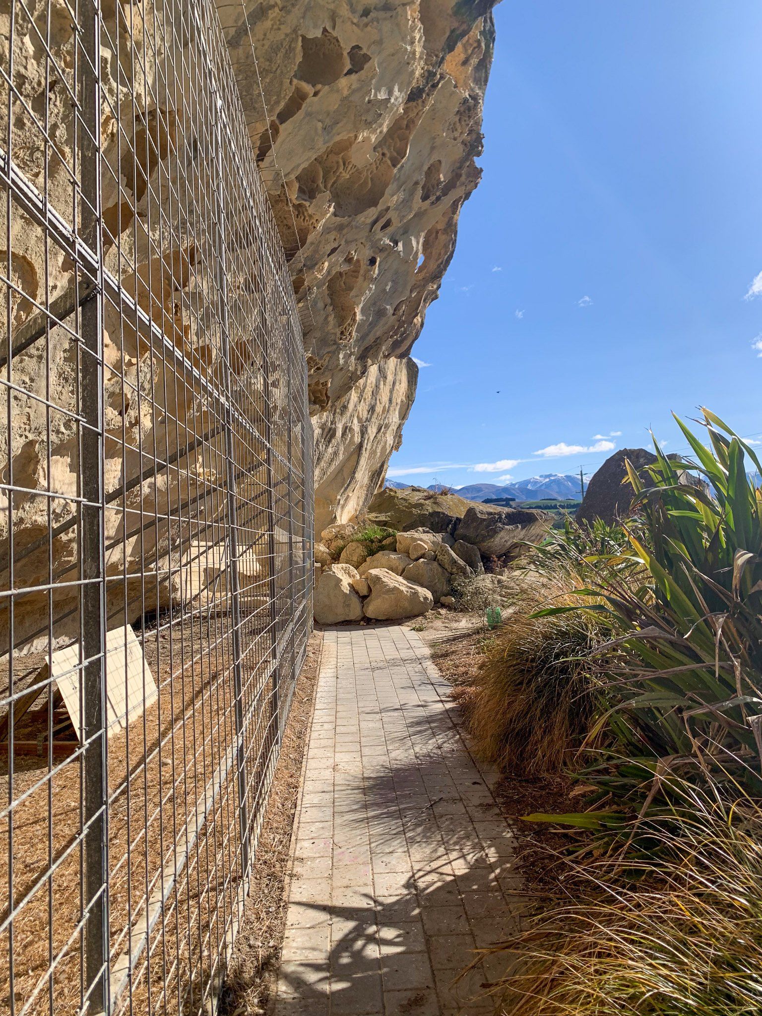 Image 6 of 6