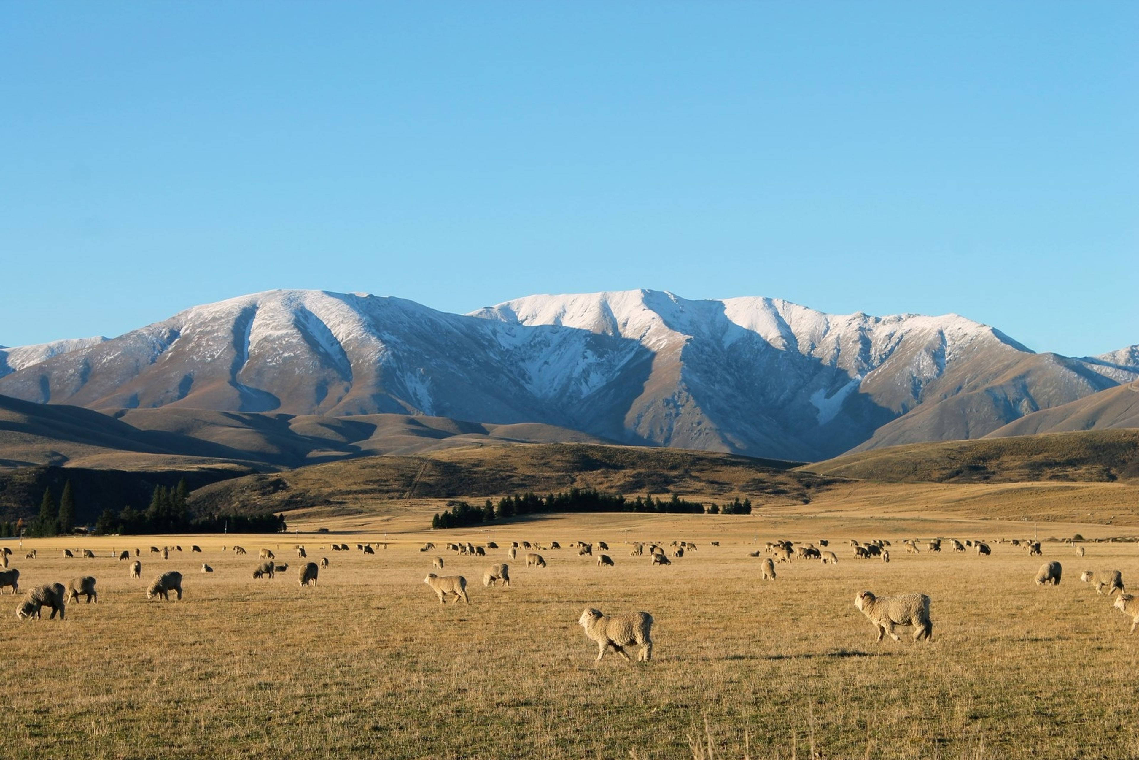 Ranfurly Holiday Park Motels & Cabins