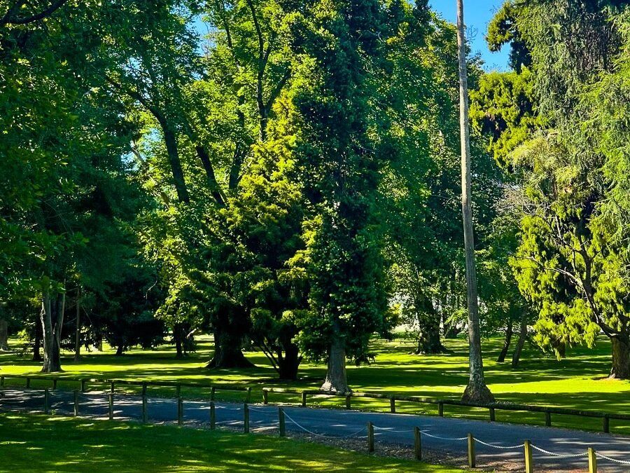 Kowhai Park