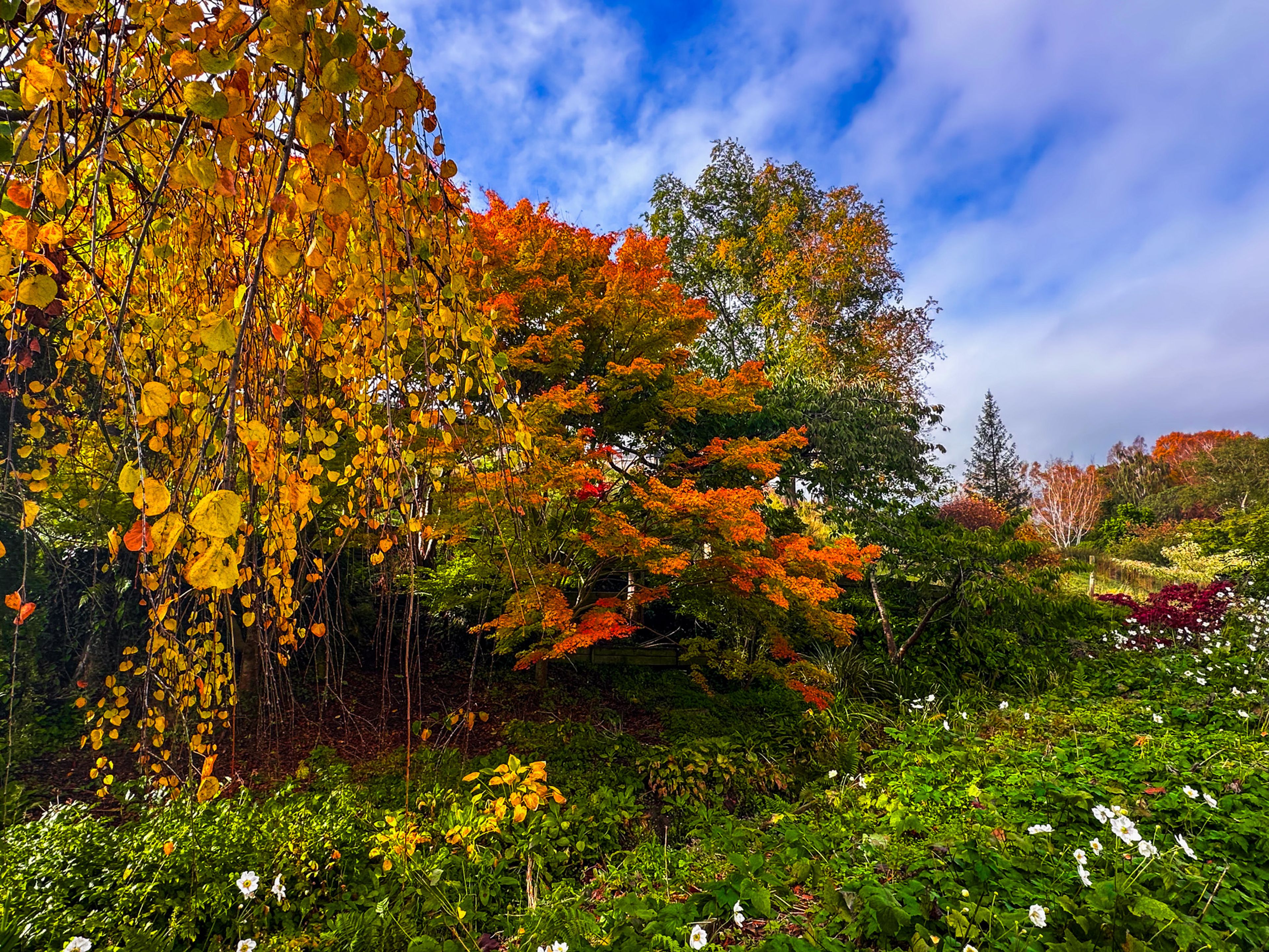 Bannerman Park