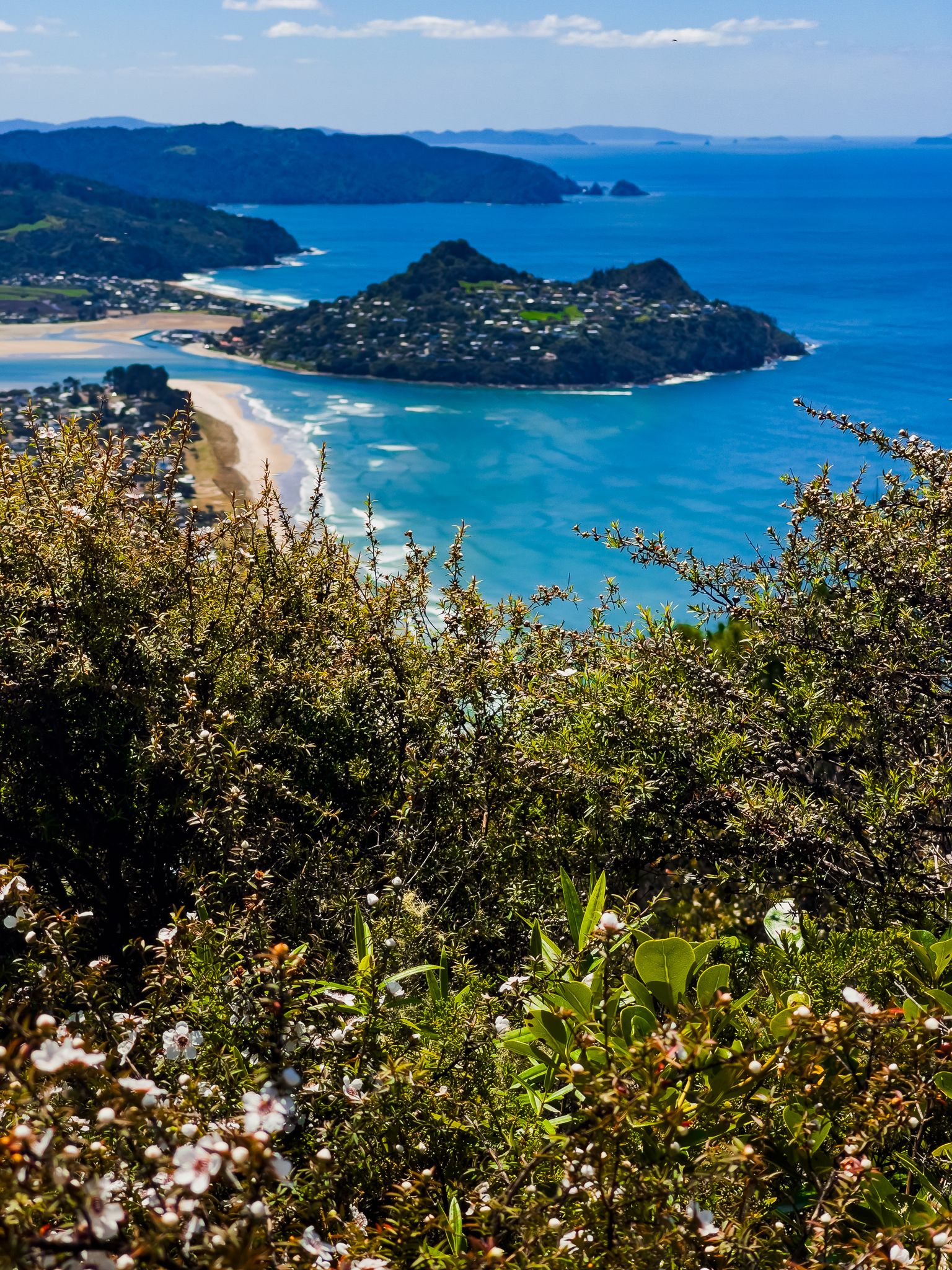 Image 8 of 10
