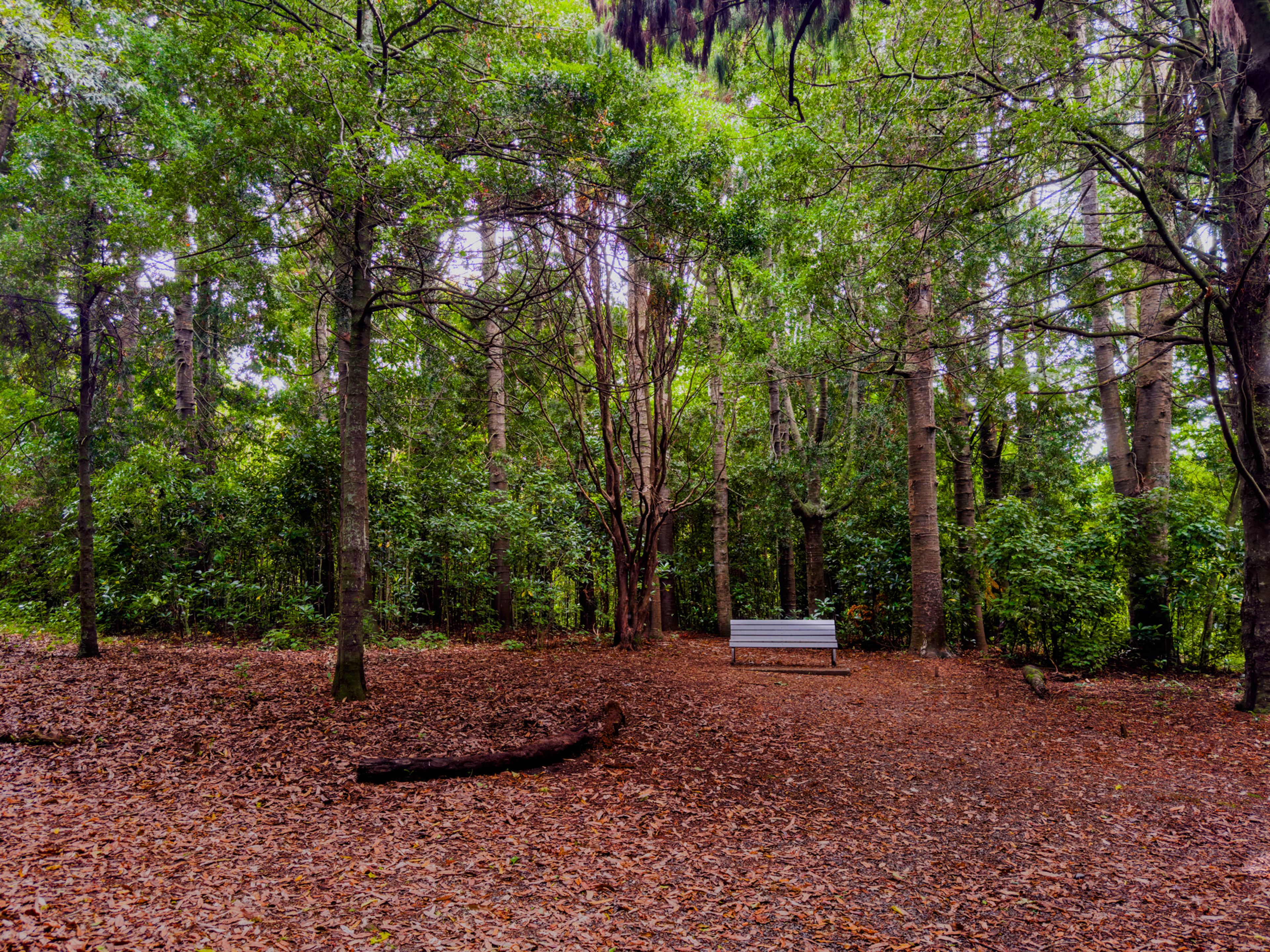 Image 8 of 10