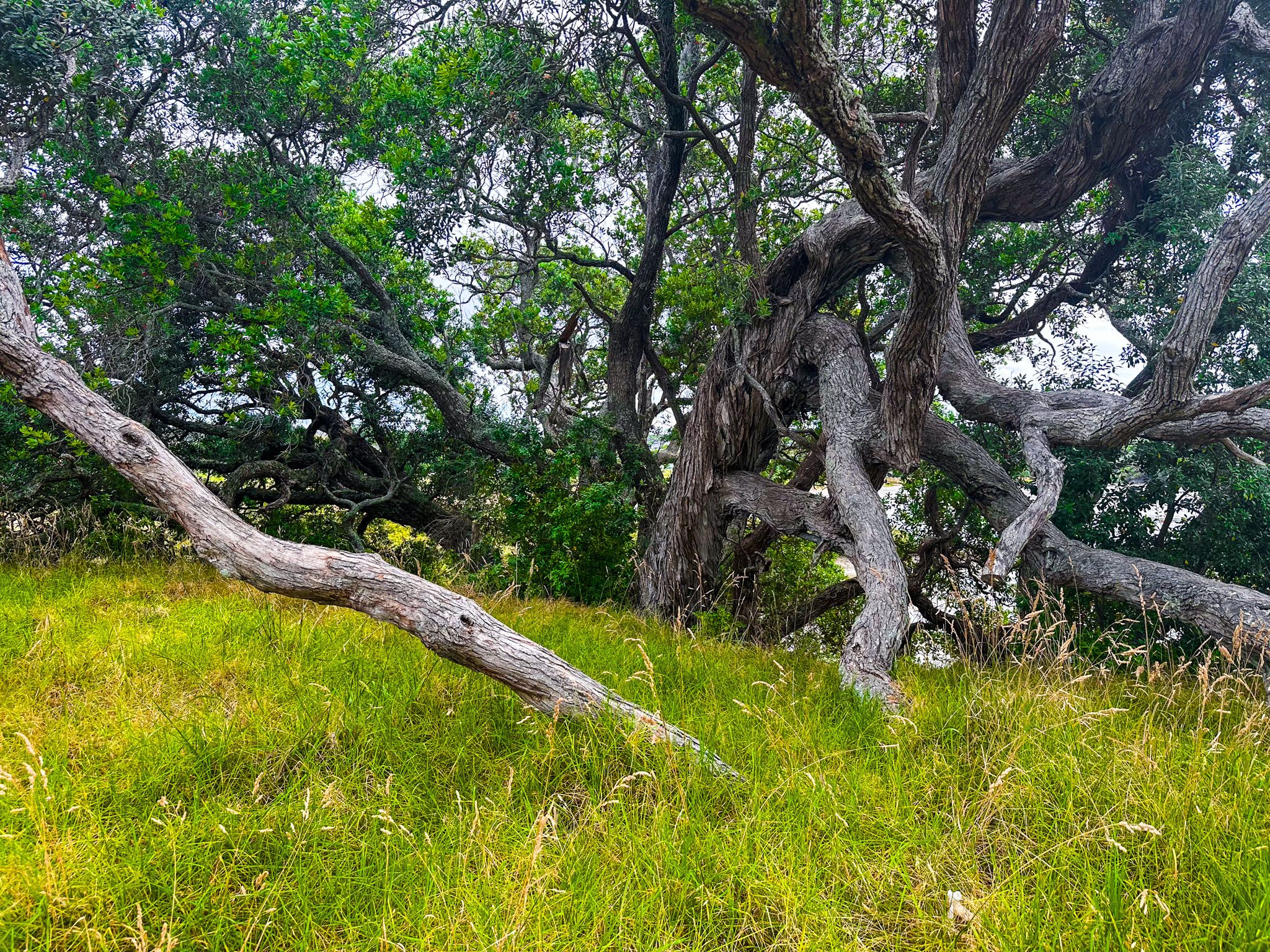 Image 9 of 10