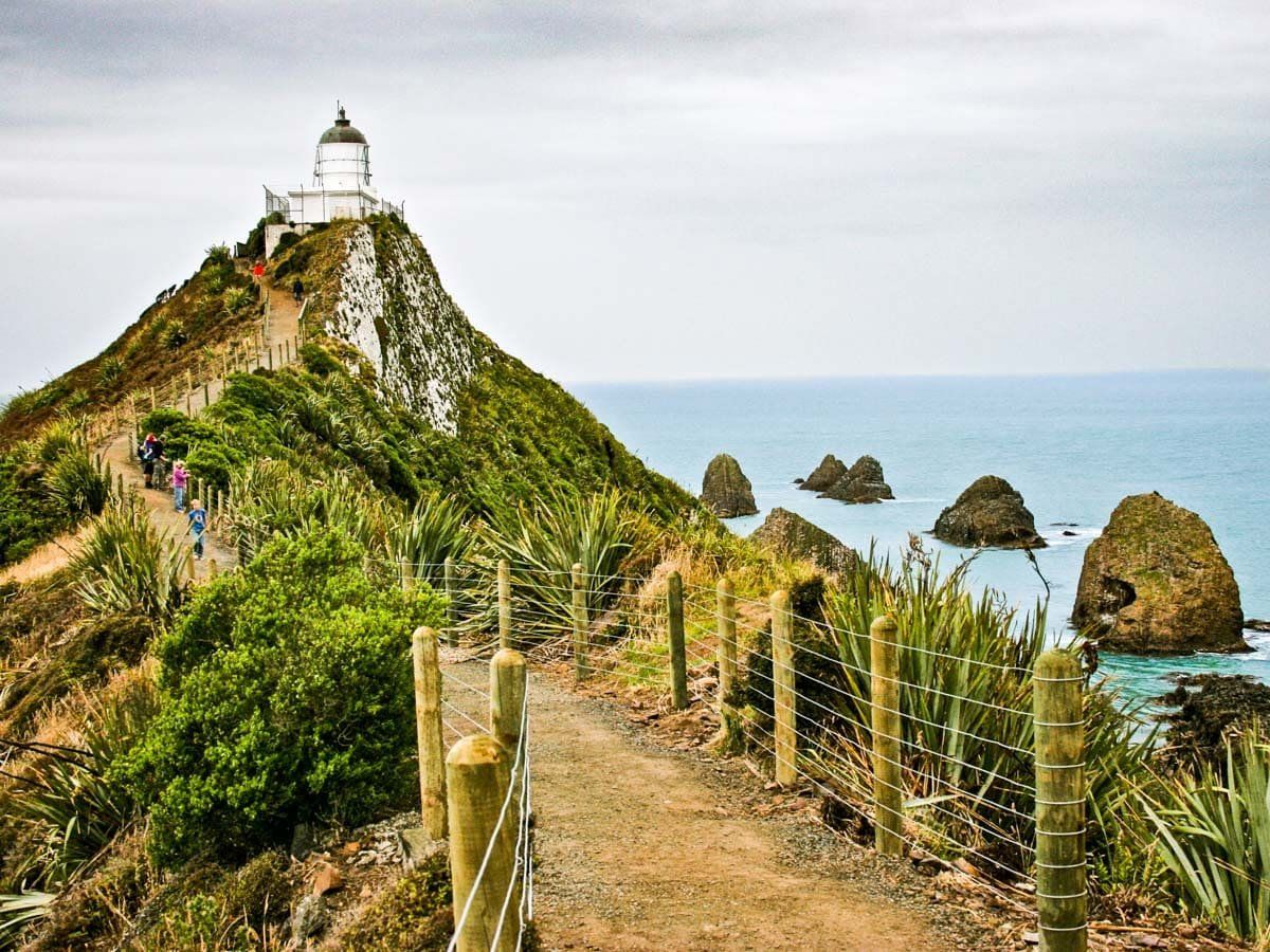 Nugget Point | Catlins - New Zealand Trip Ideas