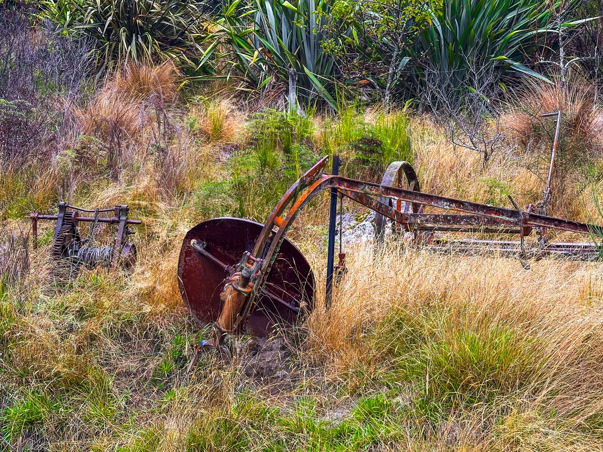 Image 8 of 10