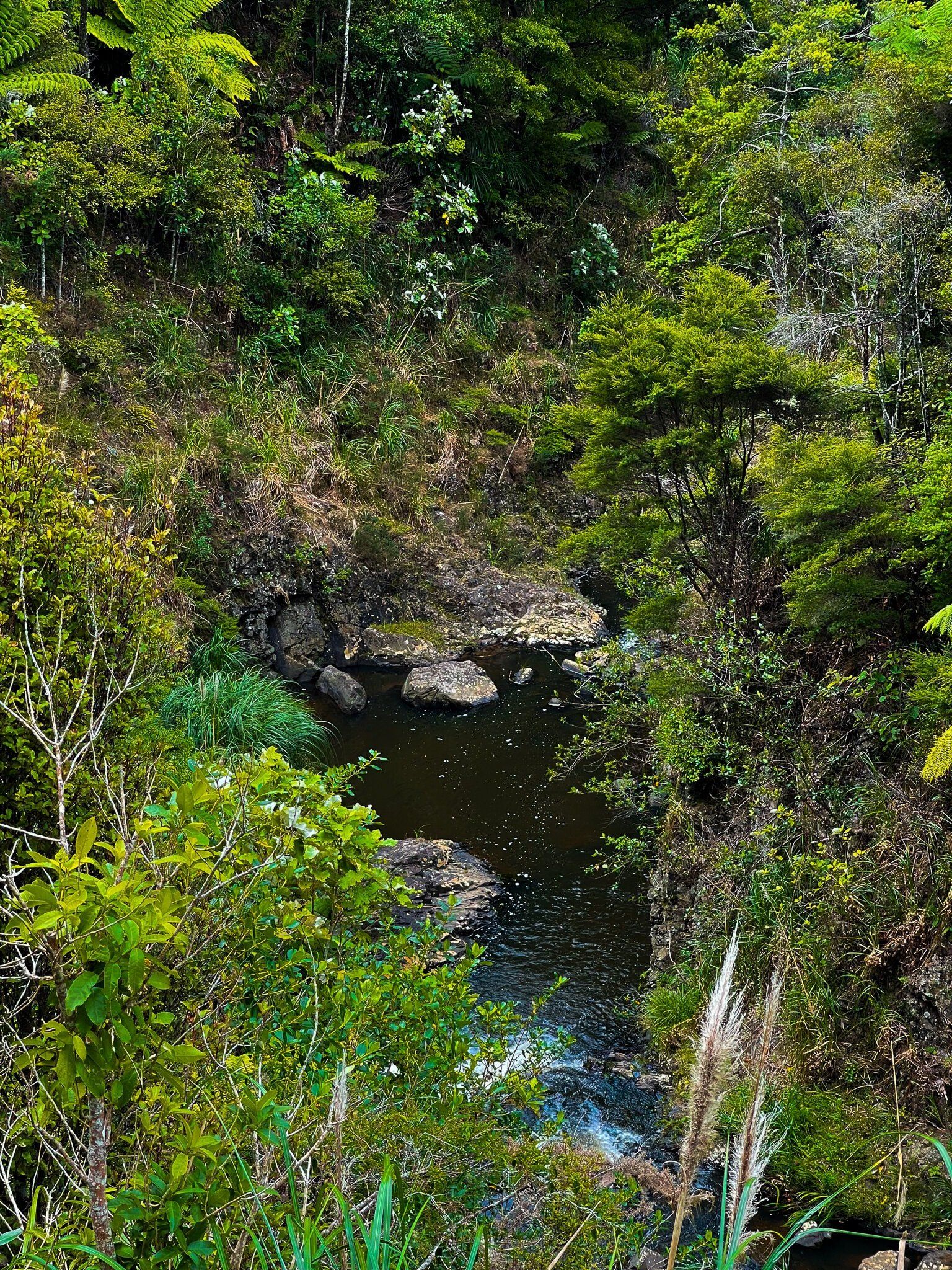 Image 2 of 8