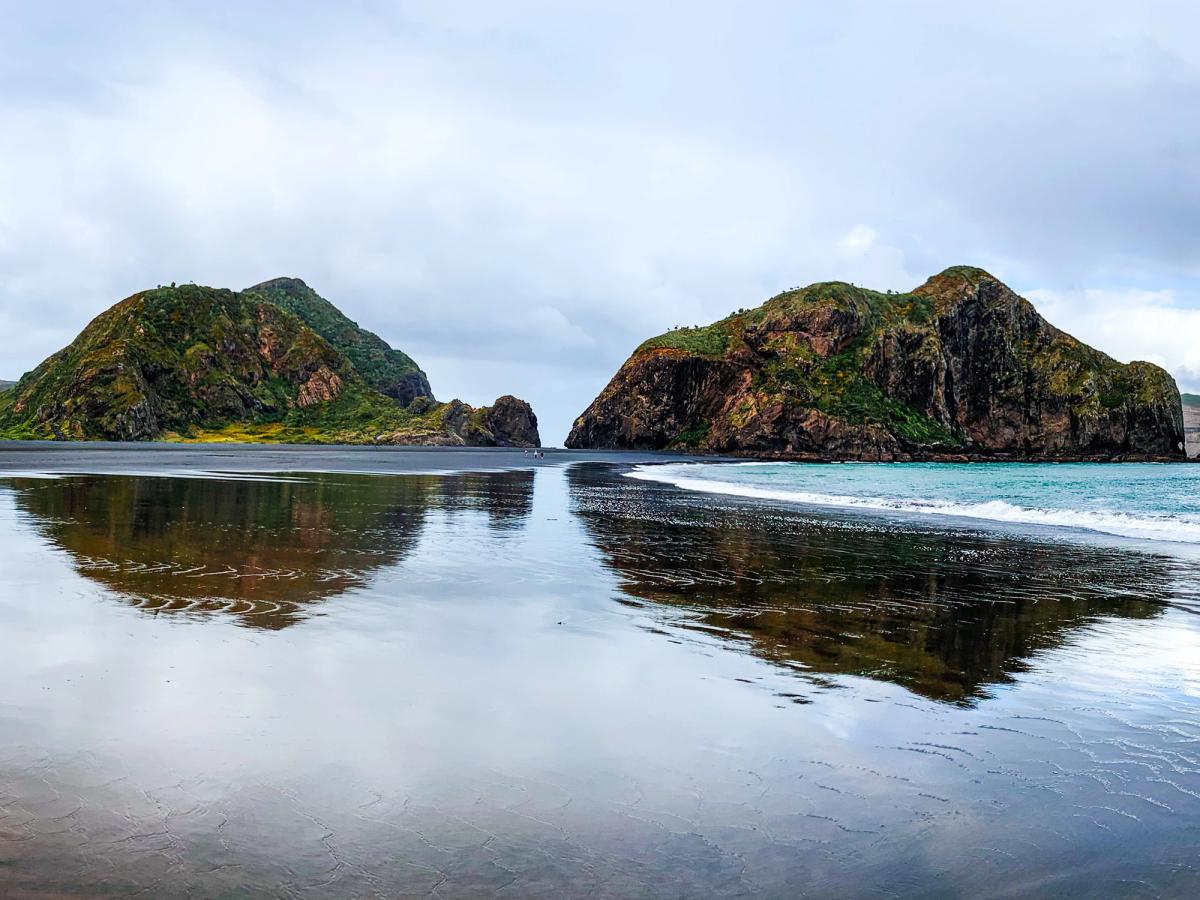 Whatipū | West Auckland - New Zealand Trip Ideas