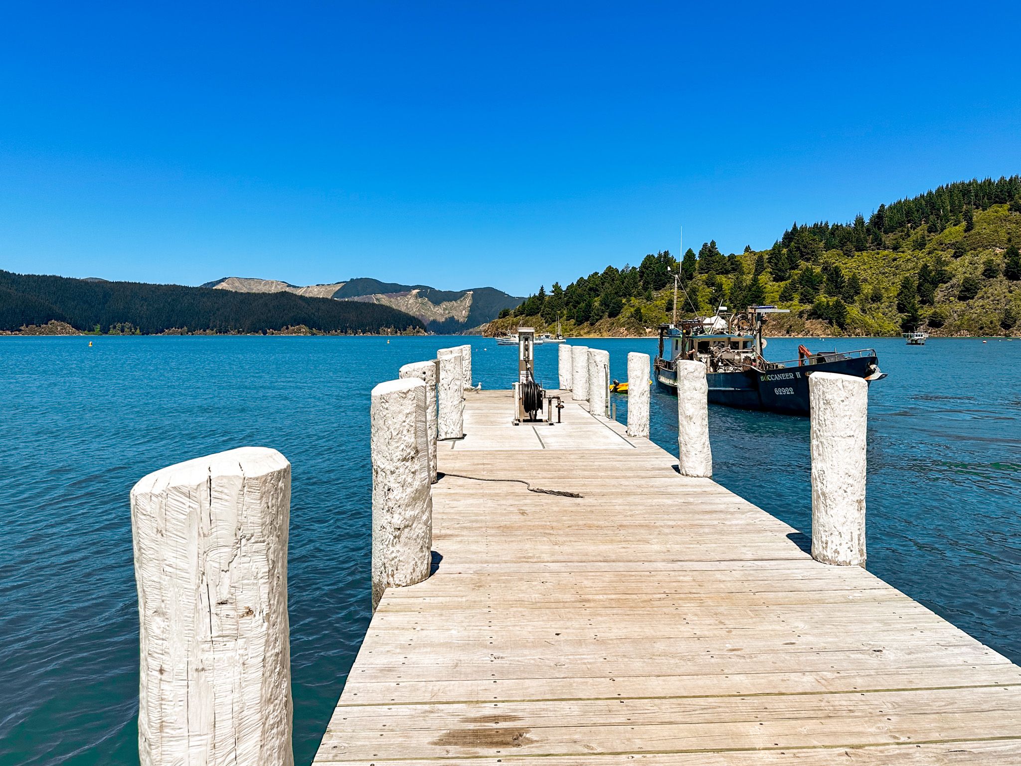 The wharf at Oyseter Bay in Port Underwood