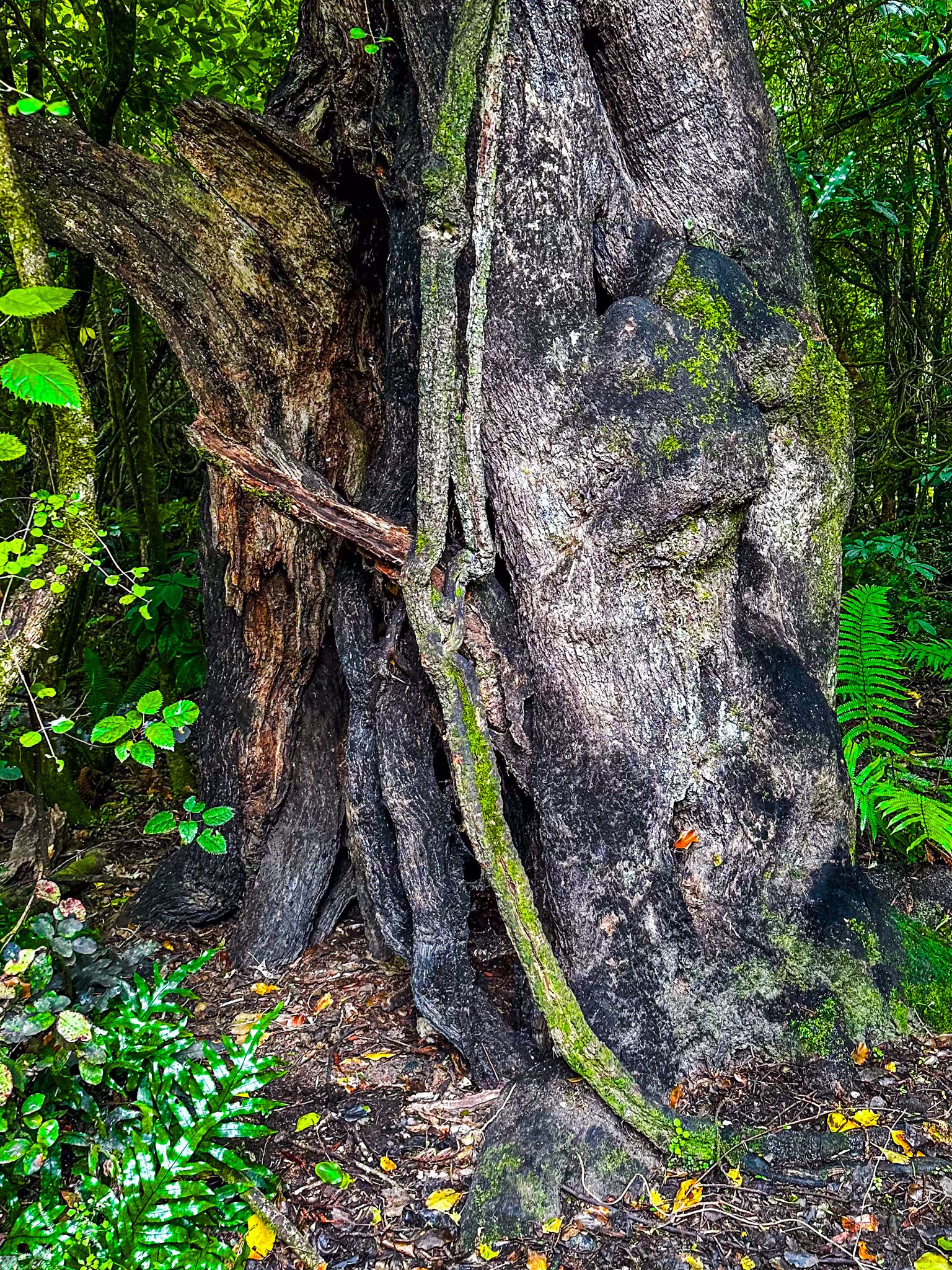 Image 9 of 10