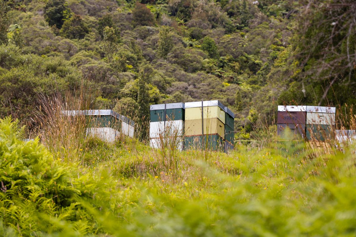 Image 8 of 8