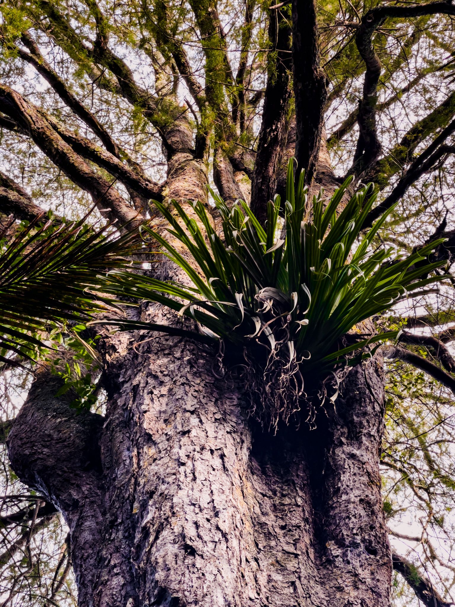 Image 7 of 10